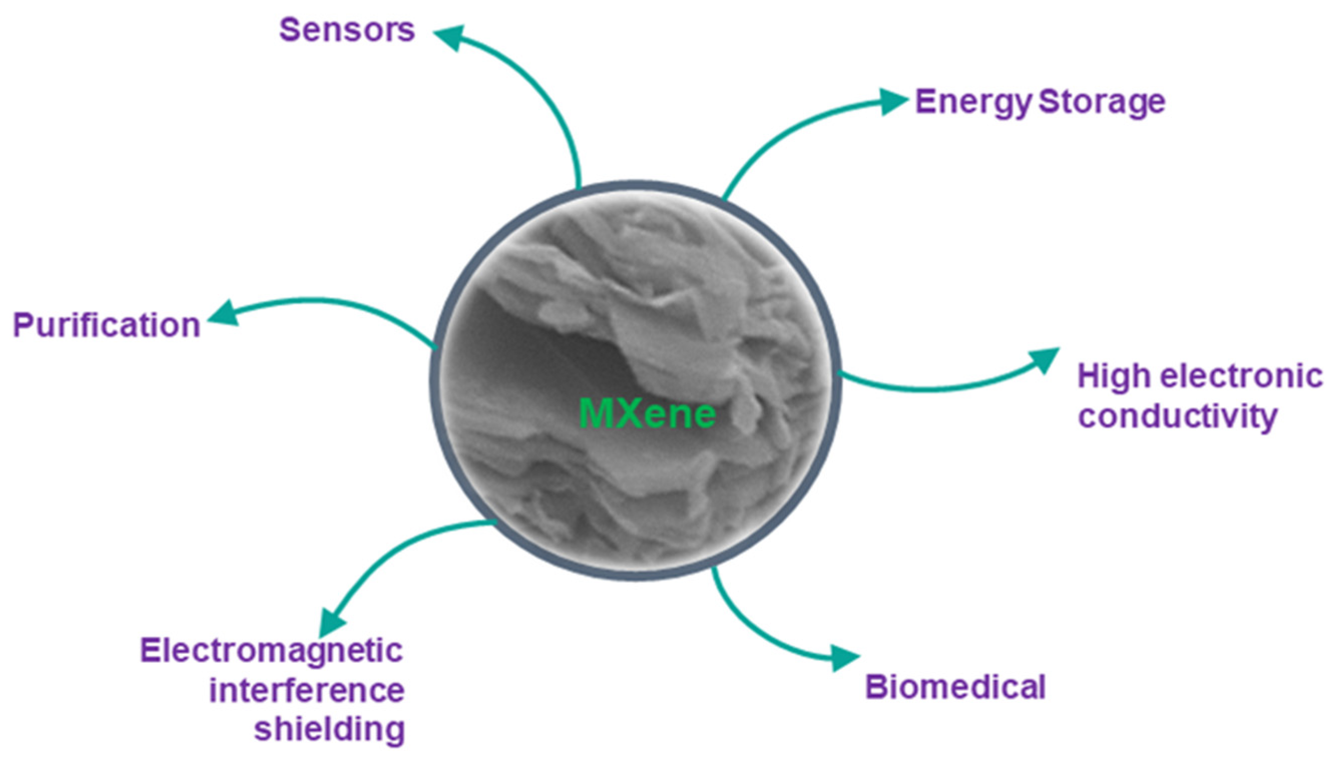 Nanomaterials 11 00320 g001 Nanomaterials 11 00320 g001