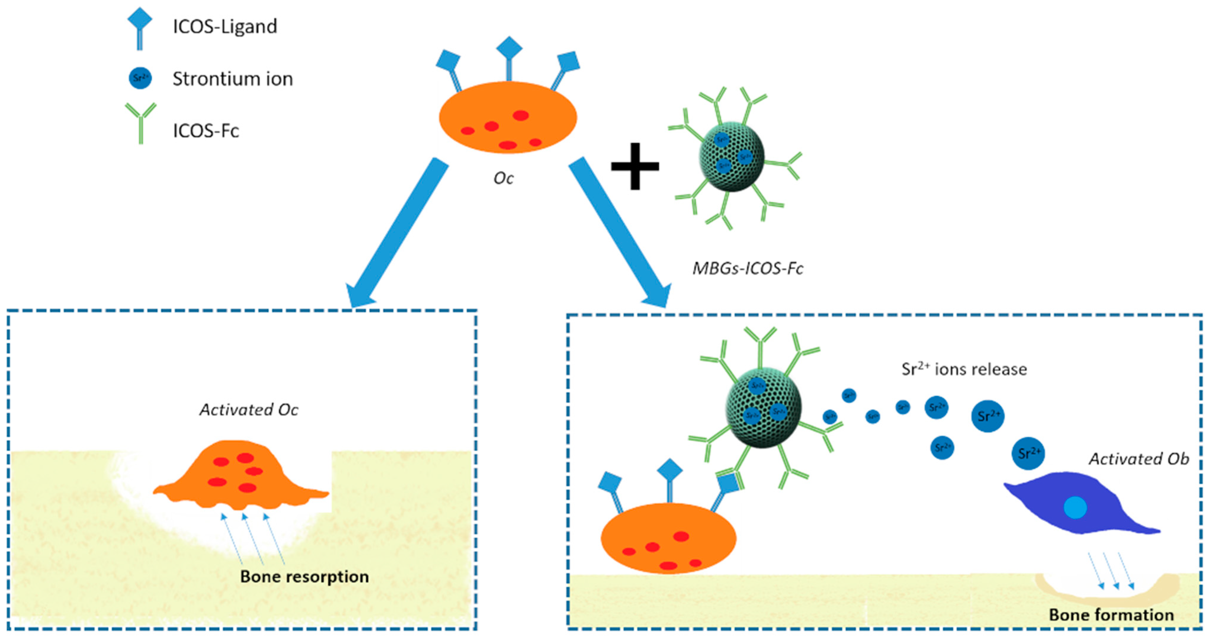 Nanomaterials 11 00321 g001 Nanomaterials 11 00321 g001