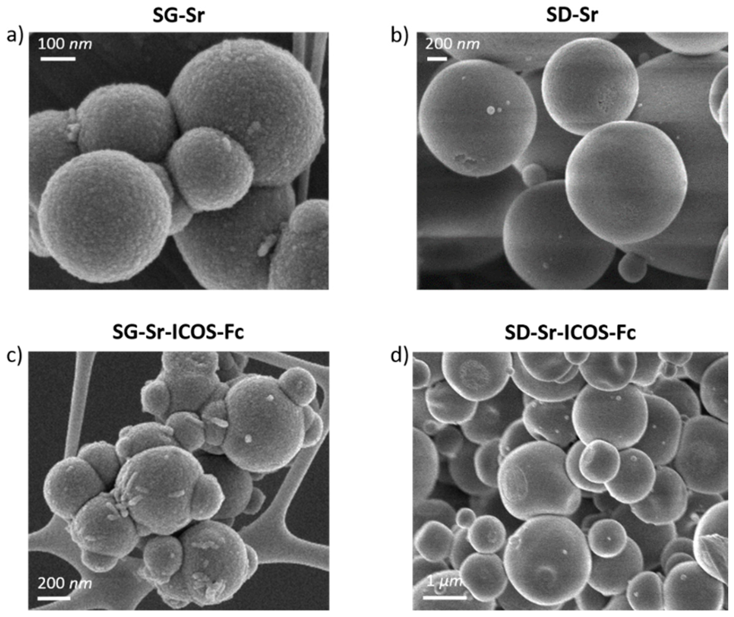 Nanomaterials 11 00321 g003 Nanomaterials 11 00321 g003
