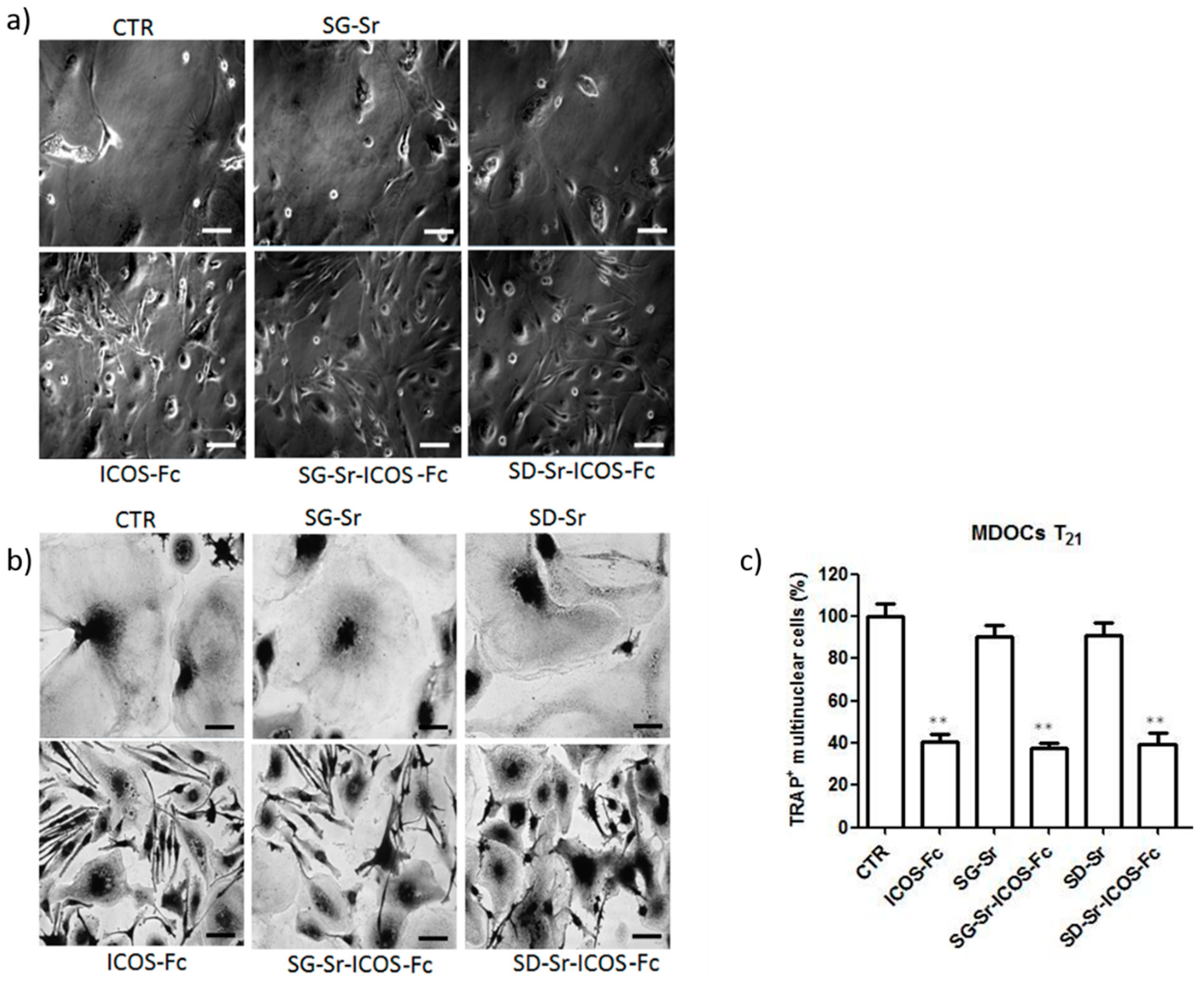 Nanomaterials 11 00321 g015 Nanomaterials 11 00321 g015