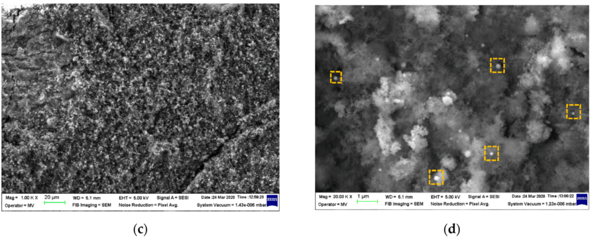 Nanomaterials 11 00323 g001b Nanomaterials 11 00323 g001b