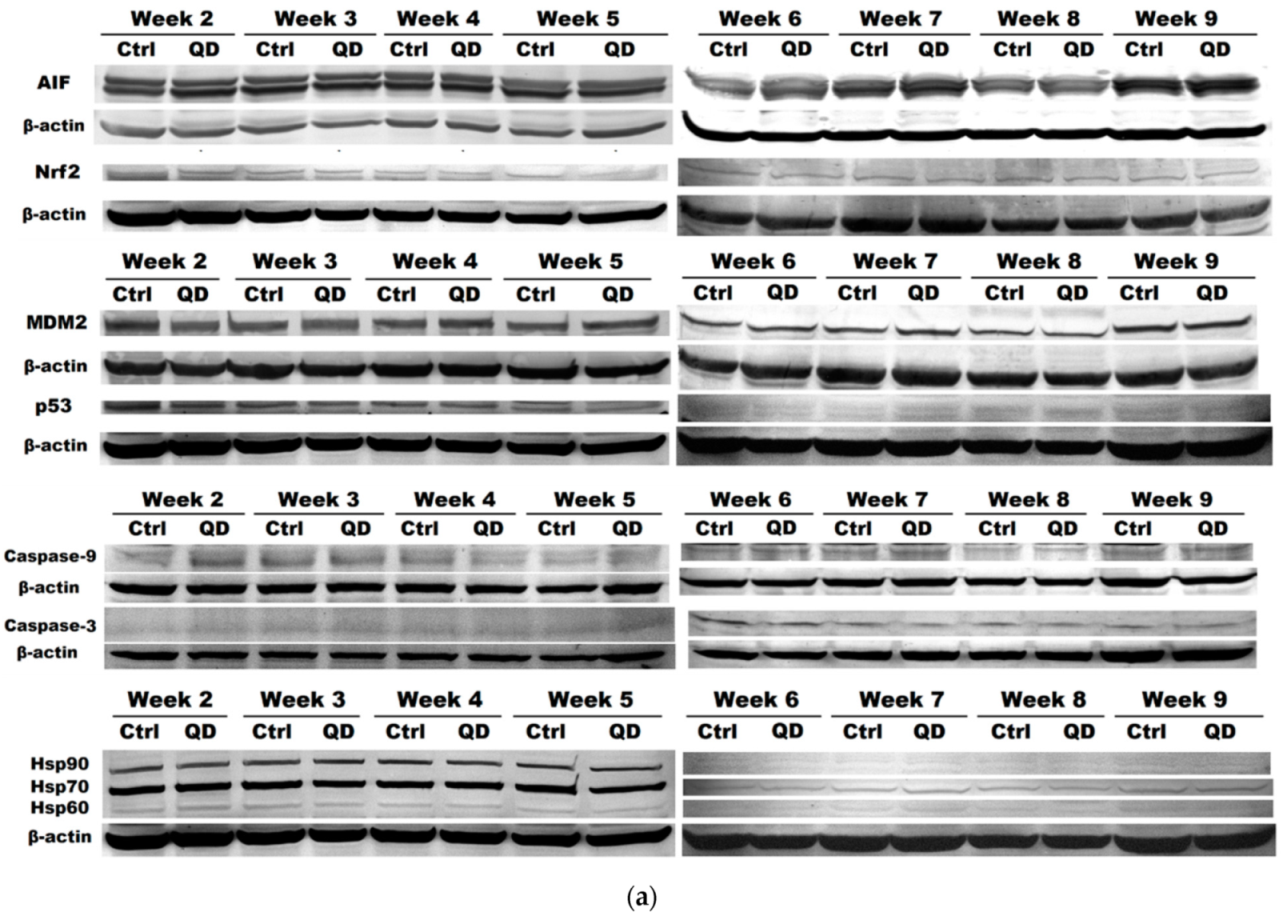Nanomaterials 11 00323 g006a Nanomaterials 11 00323 g006a
