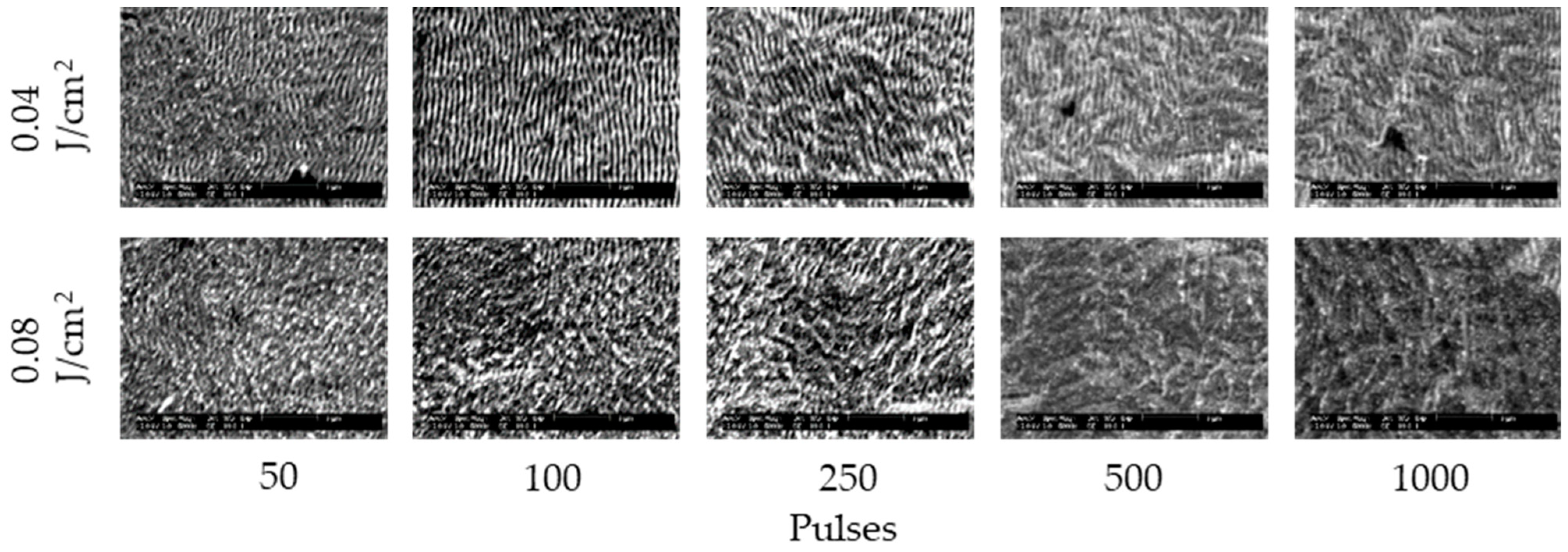 Nanomaterials 11 00327 g003