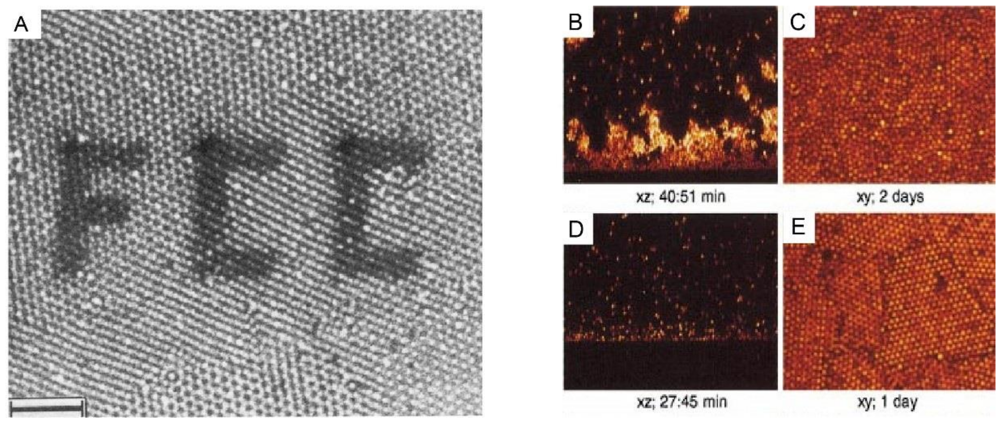 Nanomaterials 11 00333 g003 Nanomaterials 11 00333 g003