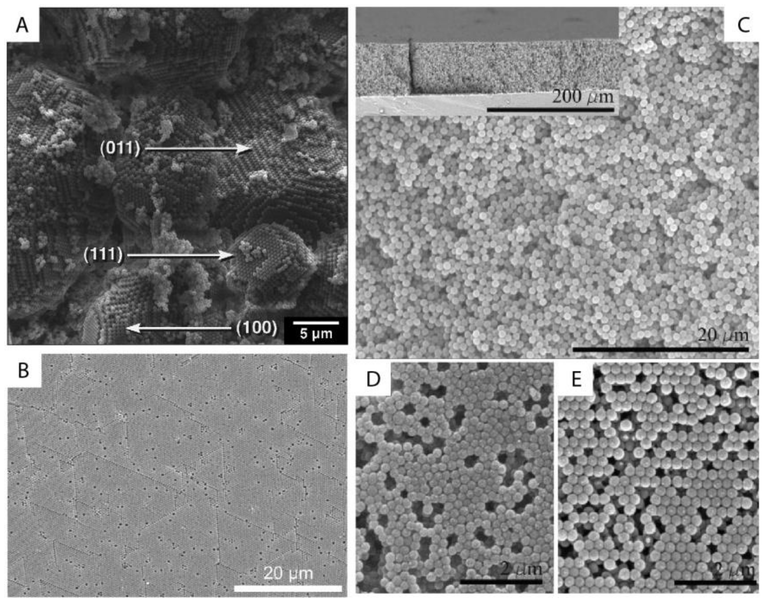 Nanomaterials 11 00333 g011 Nanomaterials 11 00333 g011