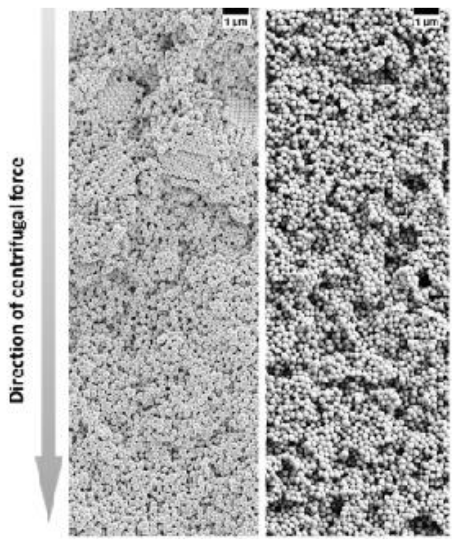 Nanomaterials 11 00333 g012 Nanomaterials 11 00333 g012