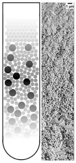 Nanomaterials 11 00333 g014 550