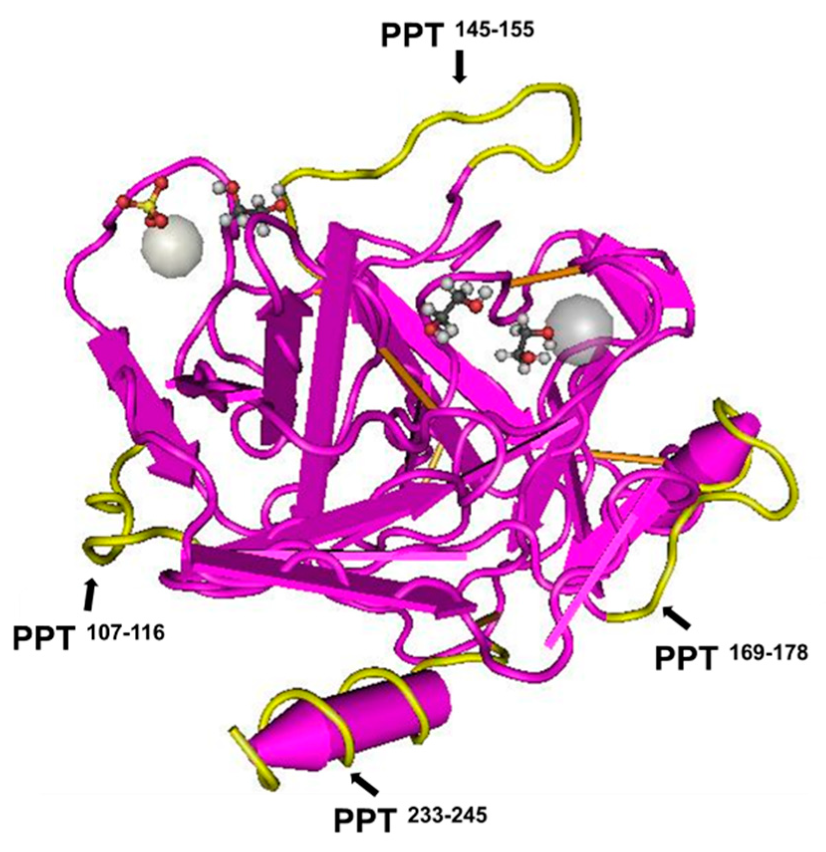 Nanomaterials 11 00334 g002