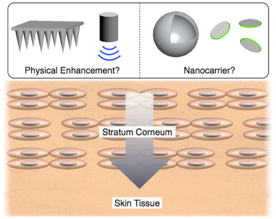 Physical Enhancement? Nanocarrier? Current Progress in Transdermal Drug ...