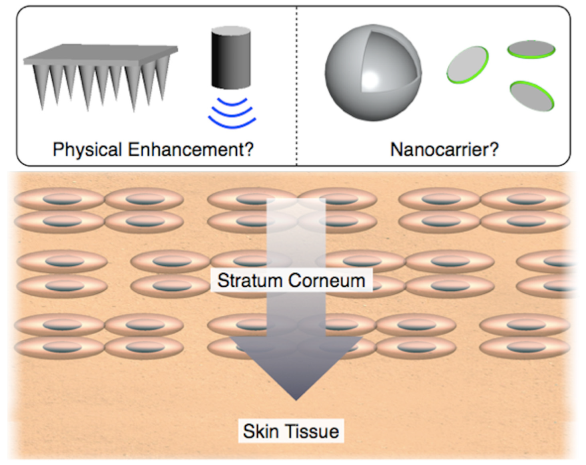 Nanomaterials 11 00335 g001 Nanomaterials 11 00335 g001