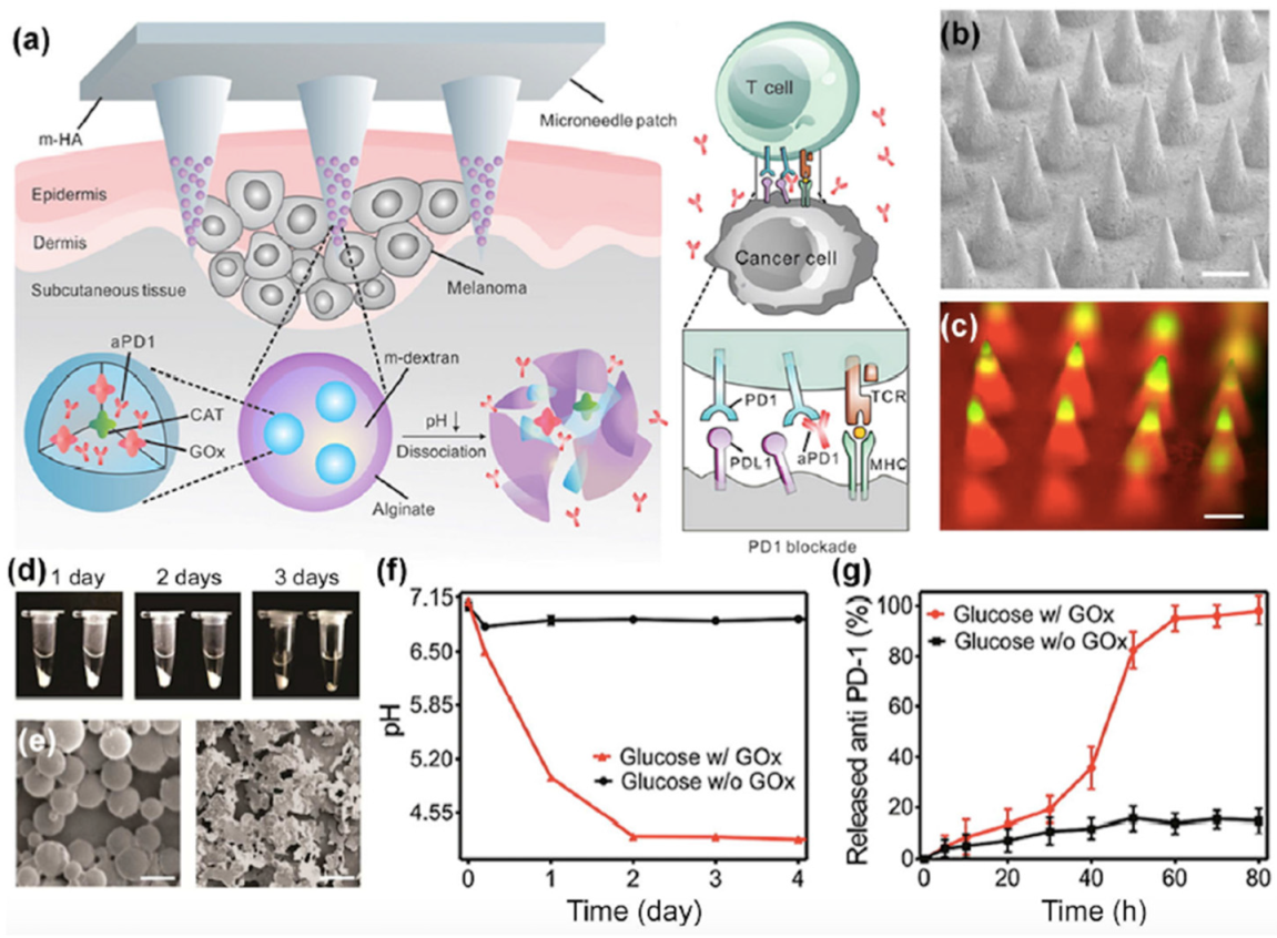 Nanomaterials 11 00335 g003 Nanomaterials 11 00335 g003