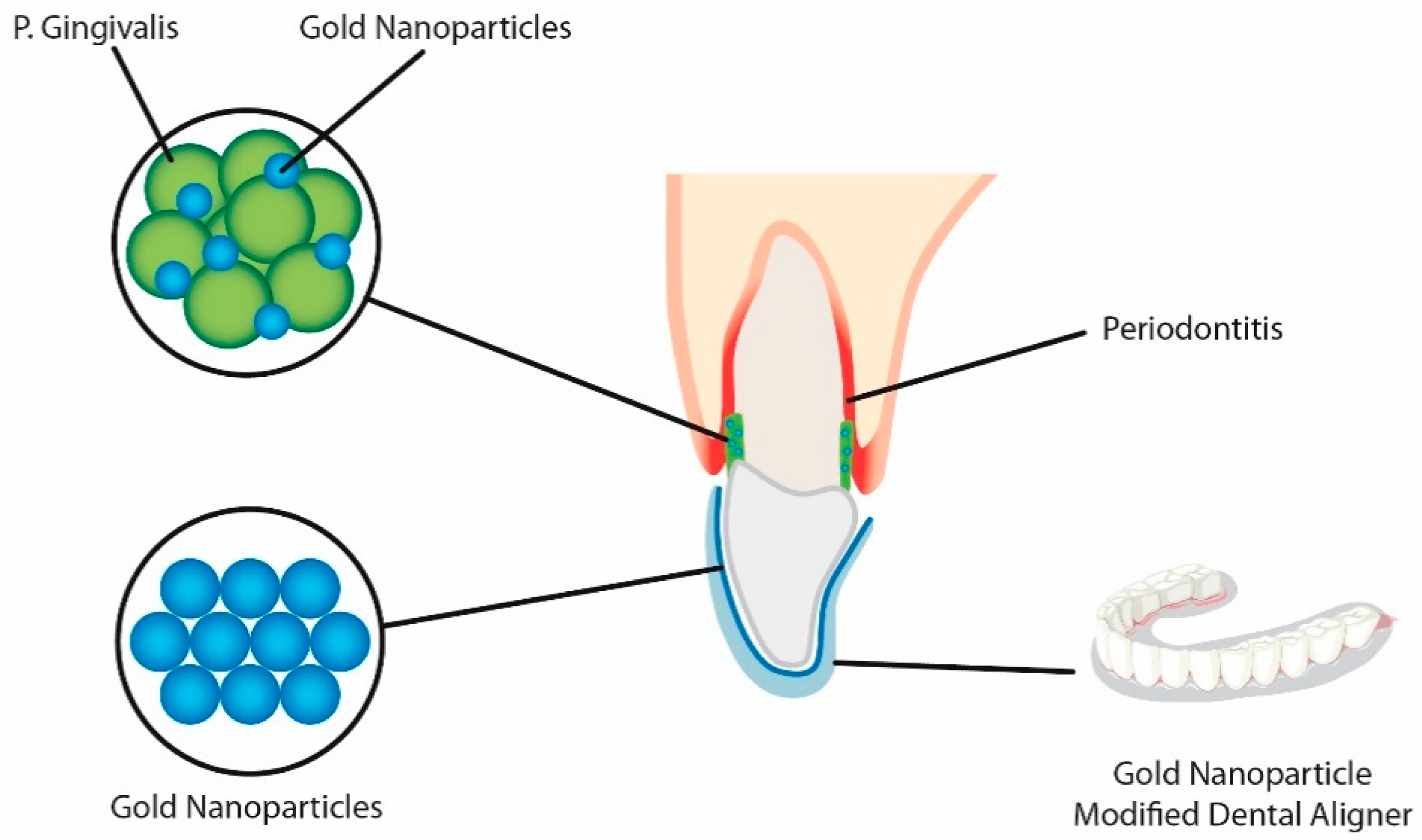 Nanomaterials 11 00337 g001