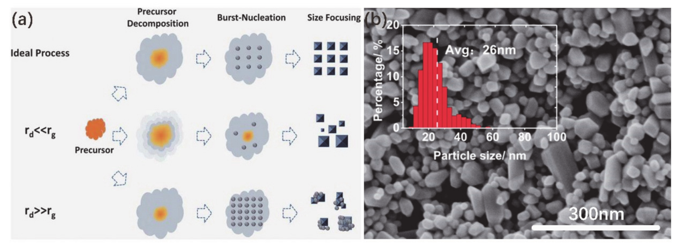Nanomaterials 11 00338 g003 Nanomaterials 11 00338 g003