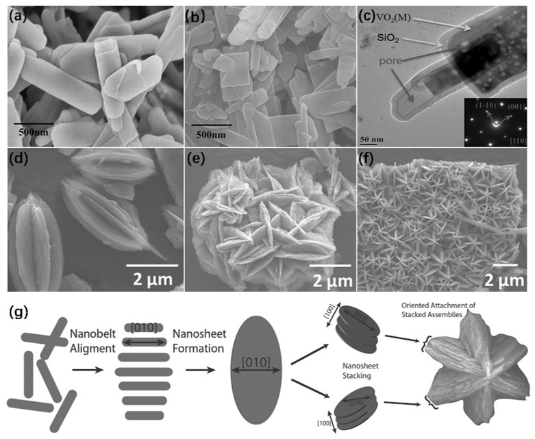 Nanomaterials 11 00338 g005 Nanomaterials 11 00338 g005