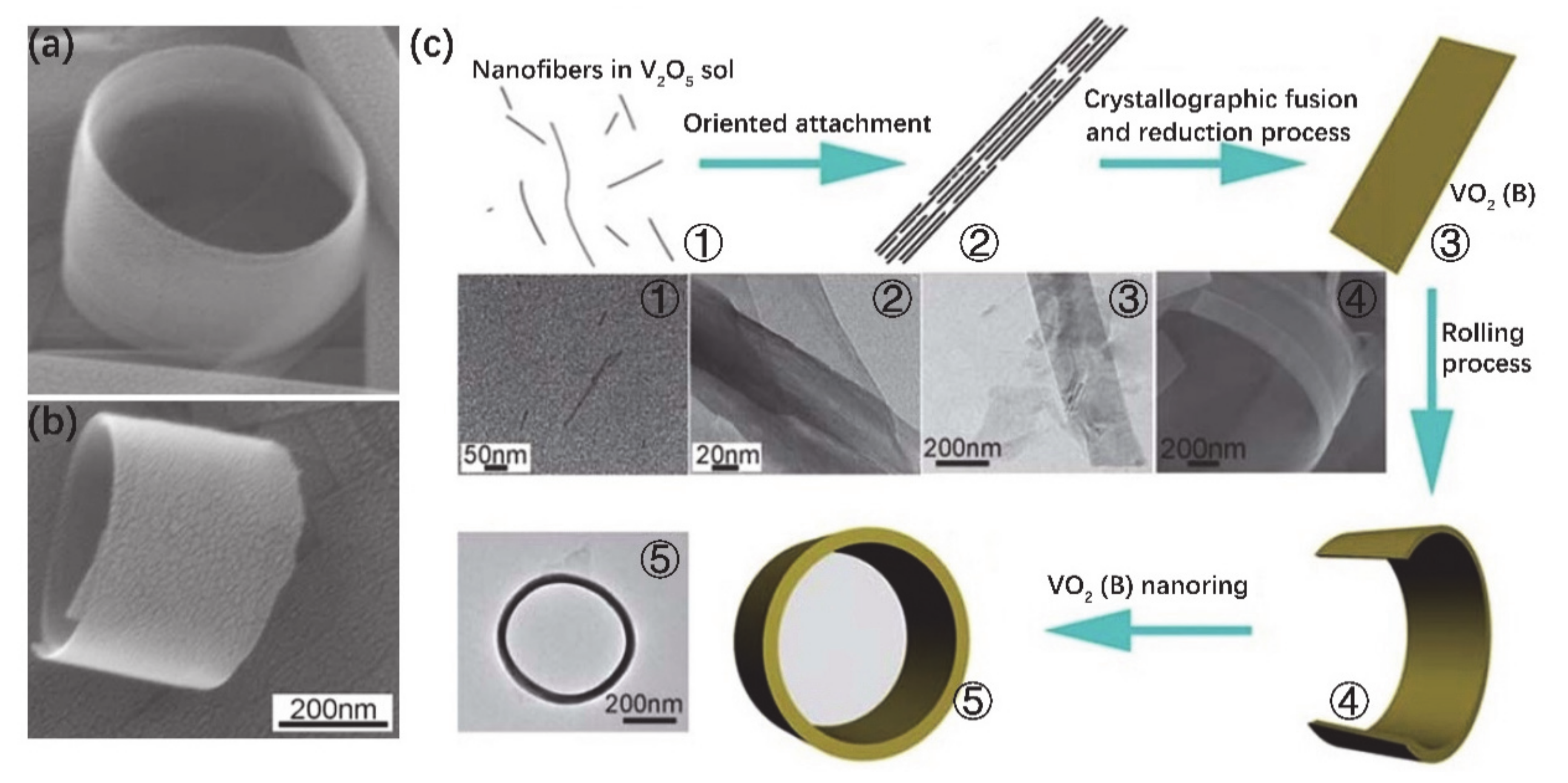 Nanomaterials 11 00338 g006 Nanomaterials 11 00338 g006