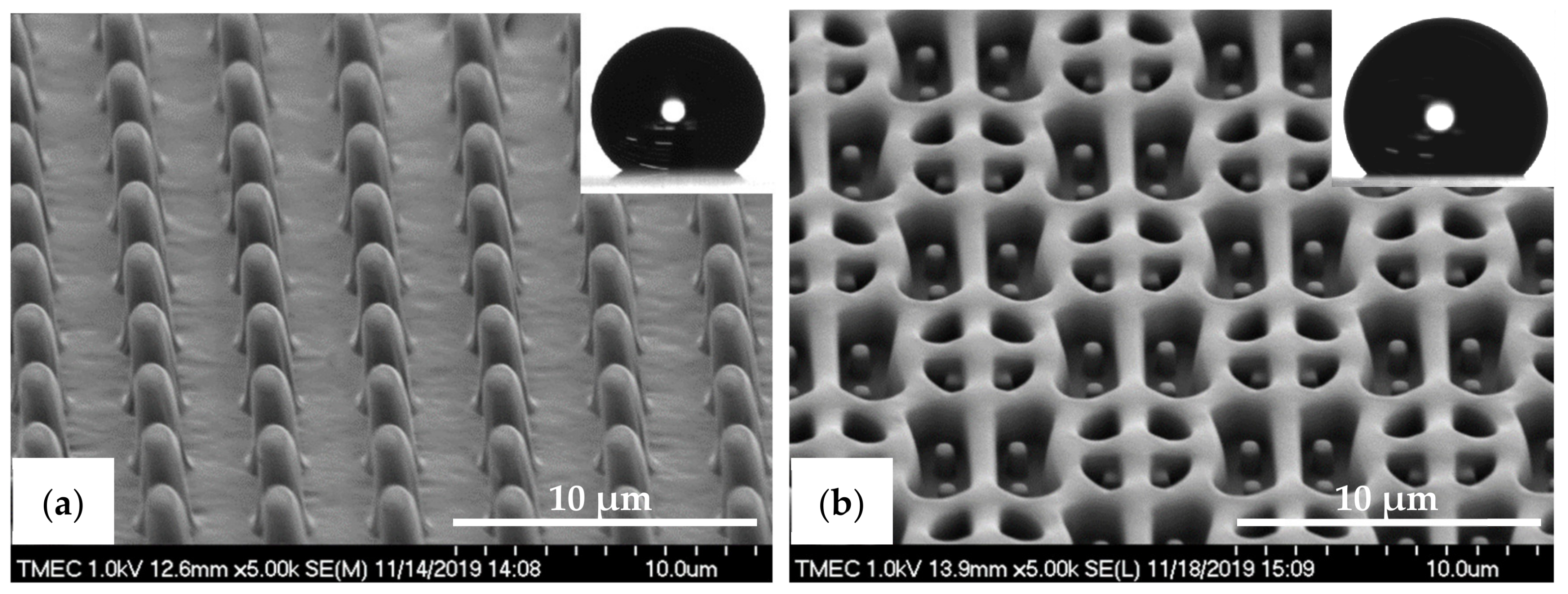 Nanomaterials 11 00339 g007