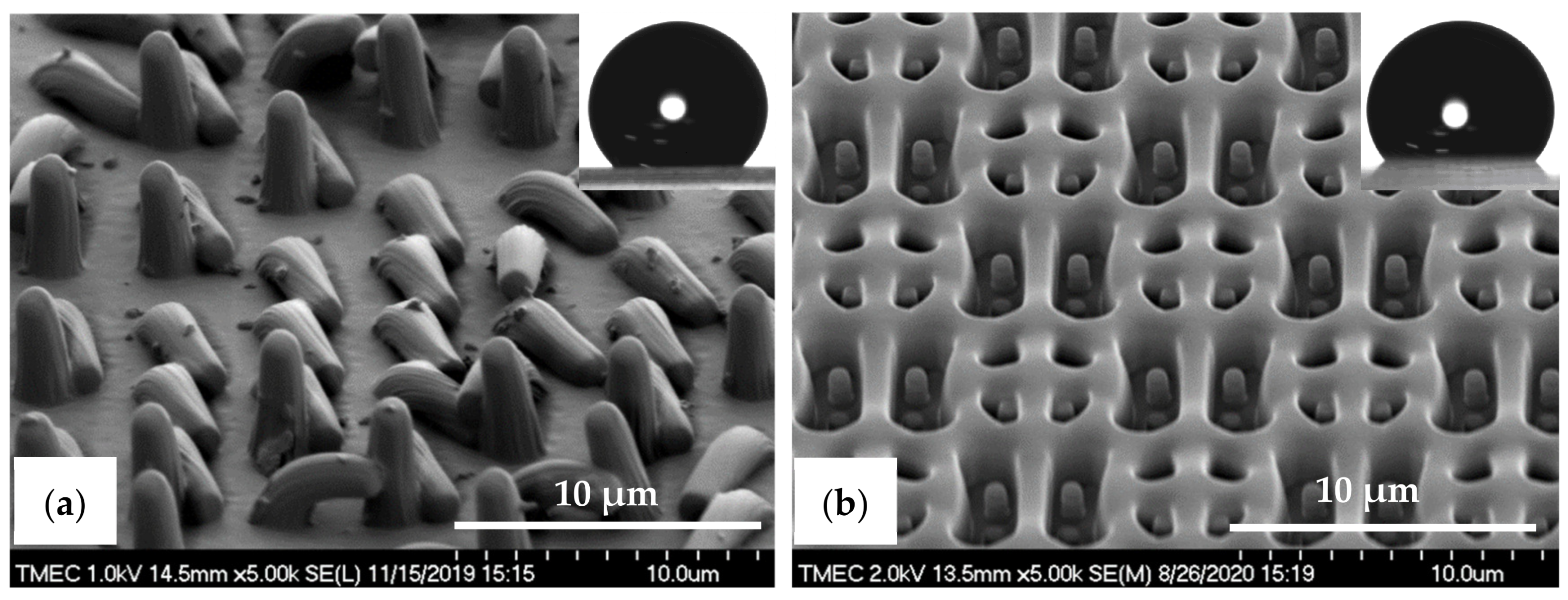 Nanomaterials 11 00339 g009