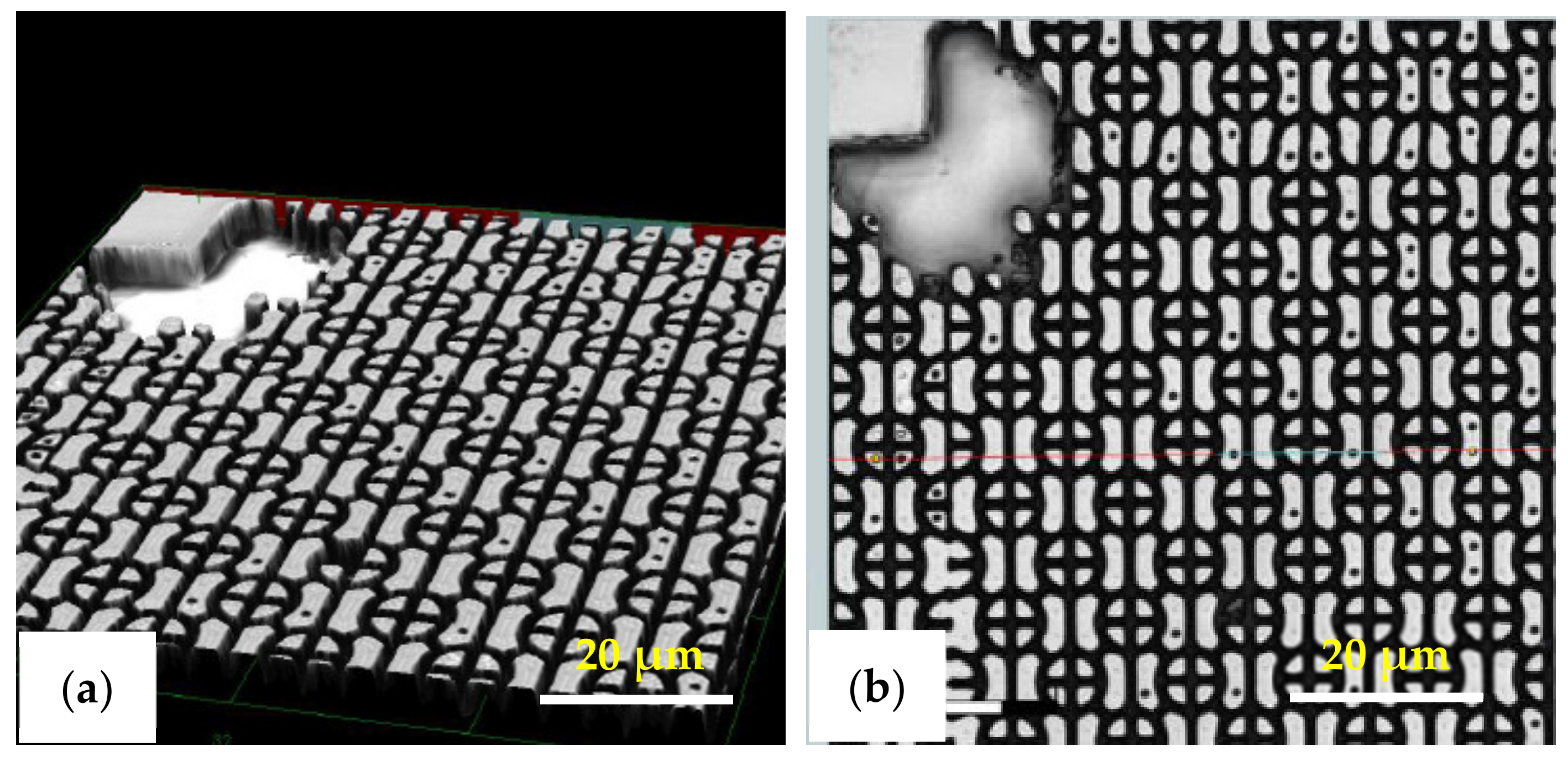 Nanomaterials 11 00339 g014