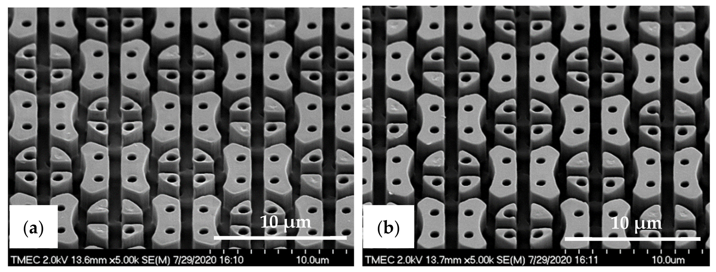 Nanomaterials 11 00339 g021
