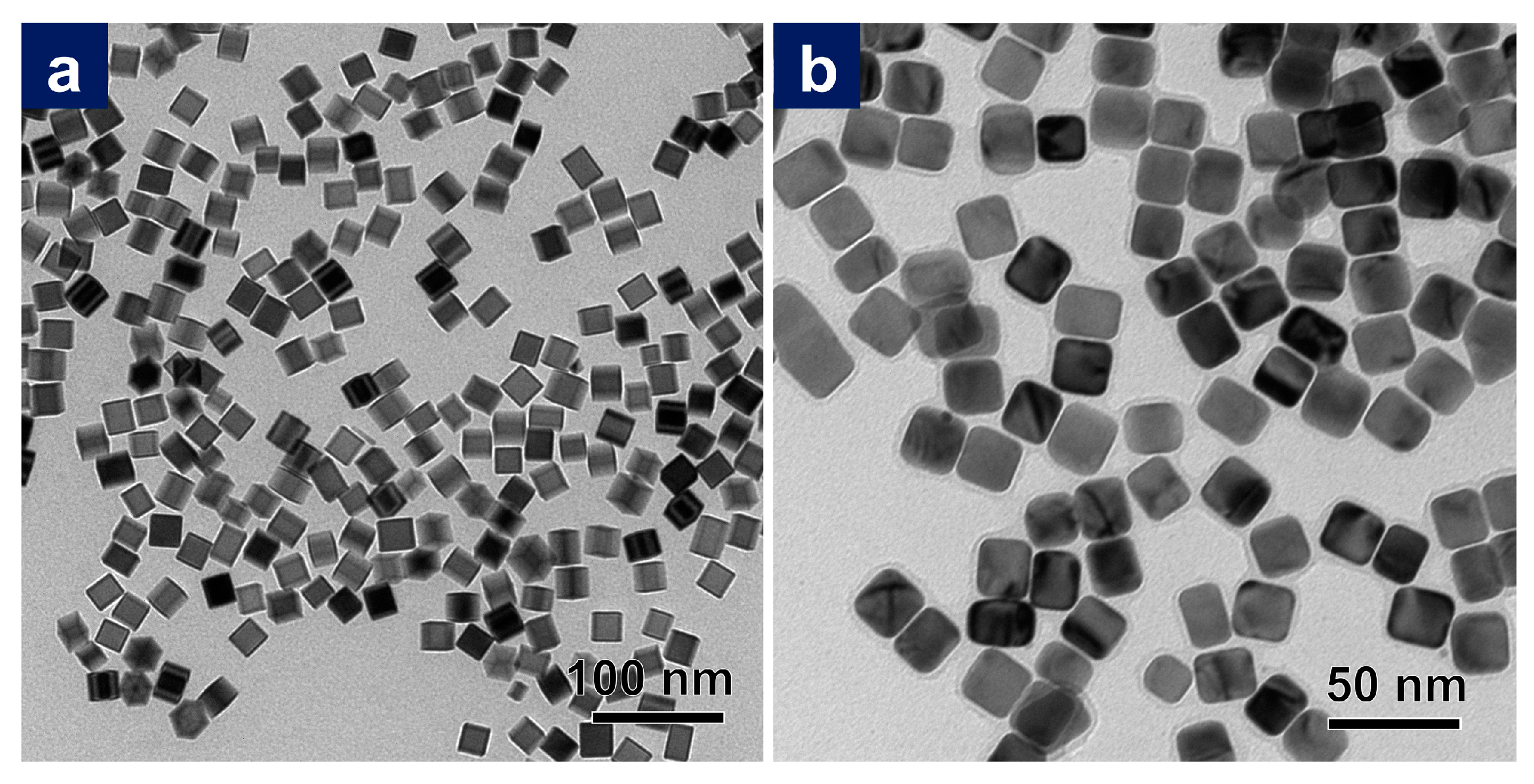 Nanomaterials 11 00340 g001 Nanomaterials 11 00340 g001
