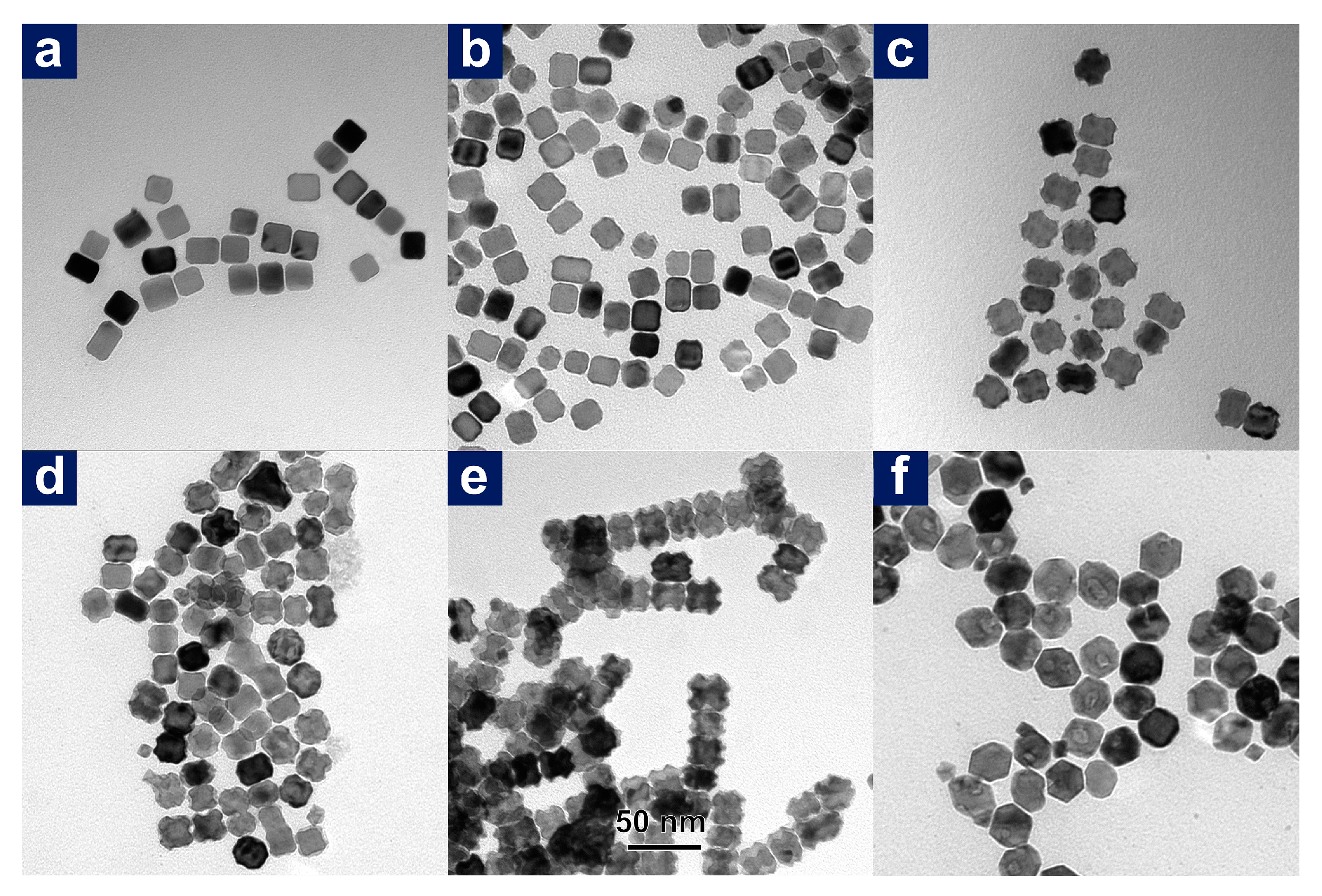Nanomaterials 11 00340 g008 Nanomaterials 11 00340 g008