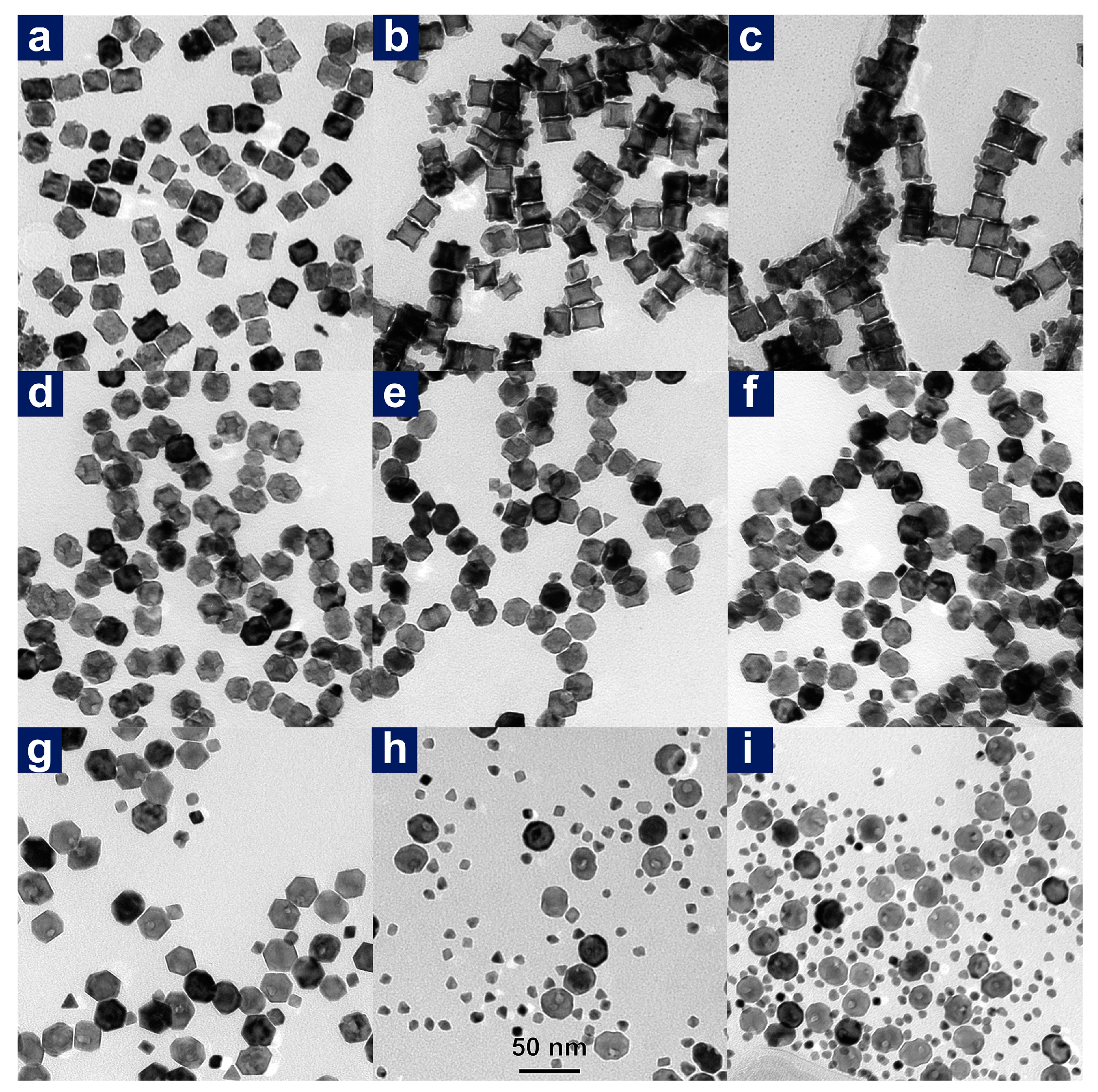 Nanomaterials 11 00340 g009 Nanomaterials 11 00340 g009