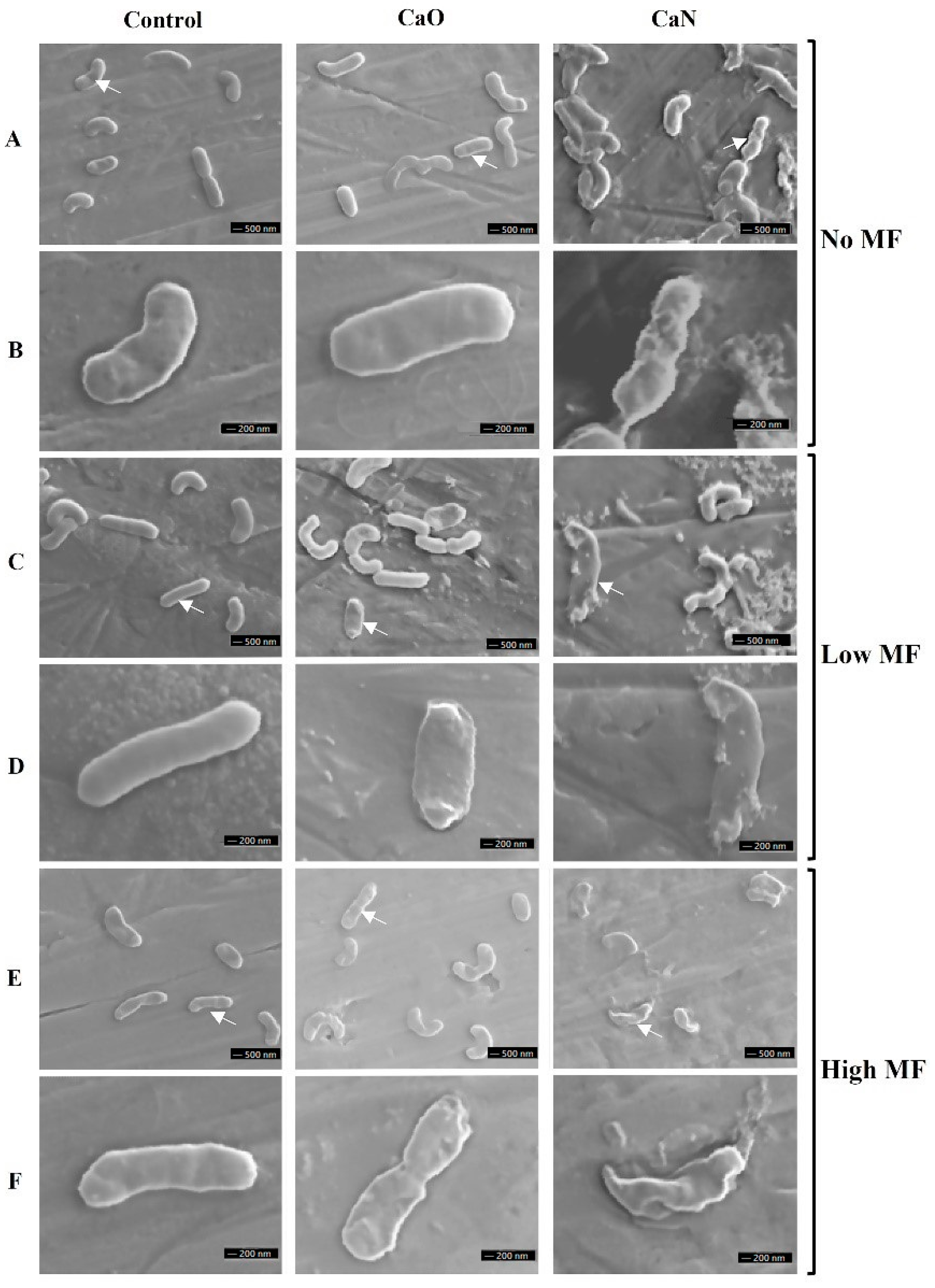Nanomaterials 11 00342 g009 Nanomaterials 11 00342 g009
