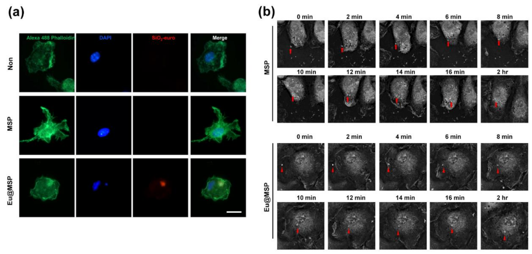 Nanomaterials 11 00343 g007 Nanomaterials 11 00343 g007