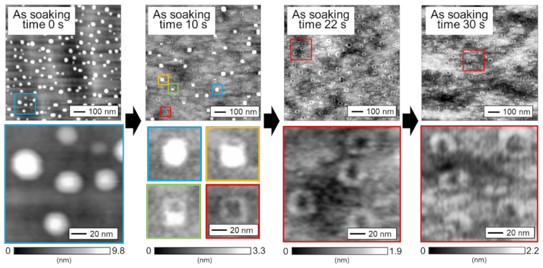 Nanomaterials 11 00344 g003