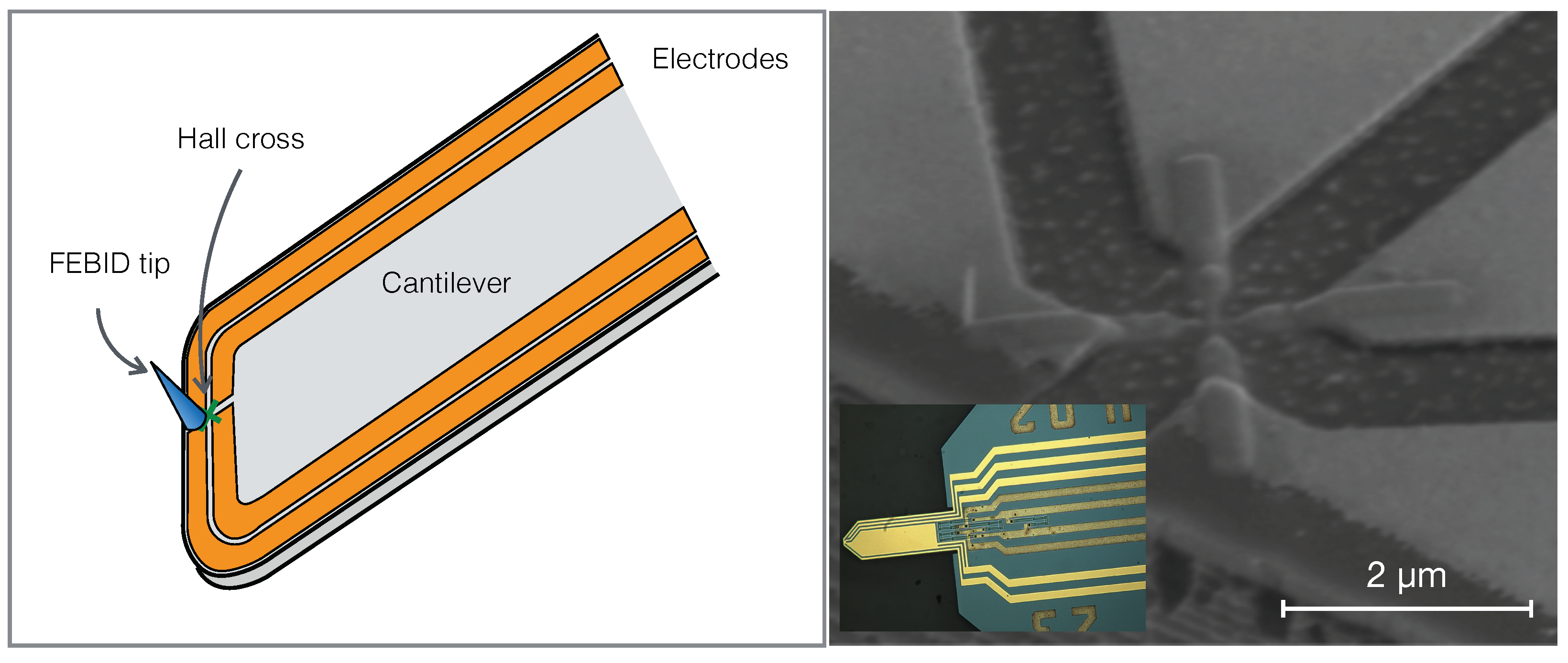 Nanomaterials 11 00348 g005