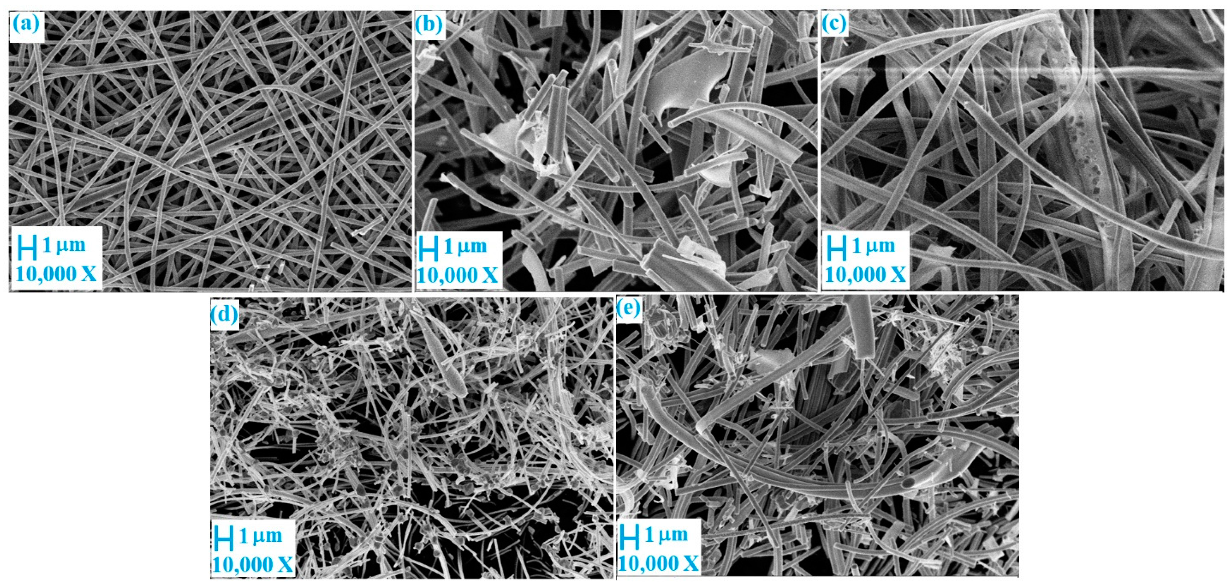 Nanomaterials 11 00351 g003