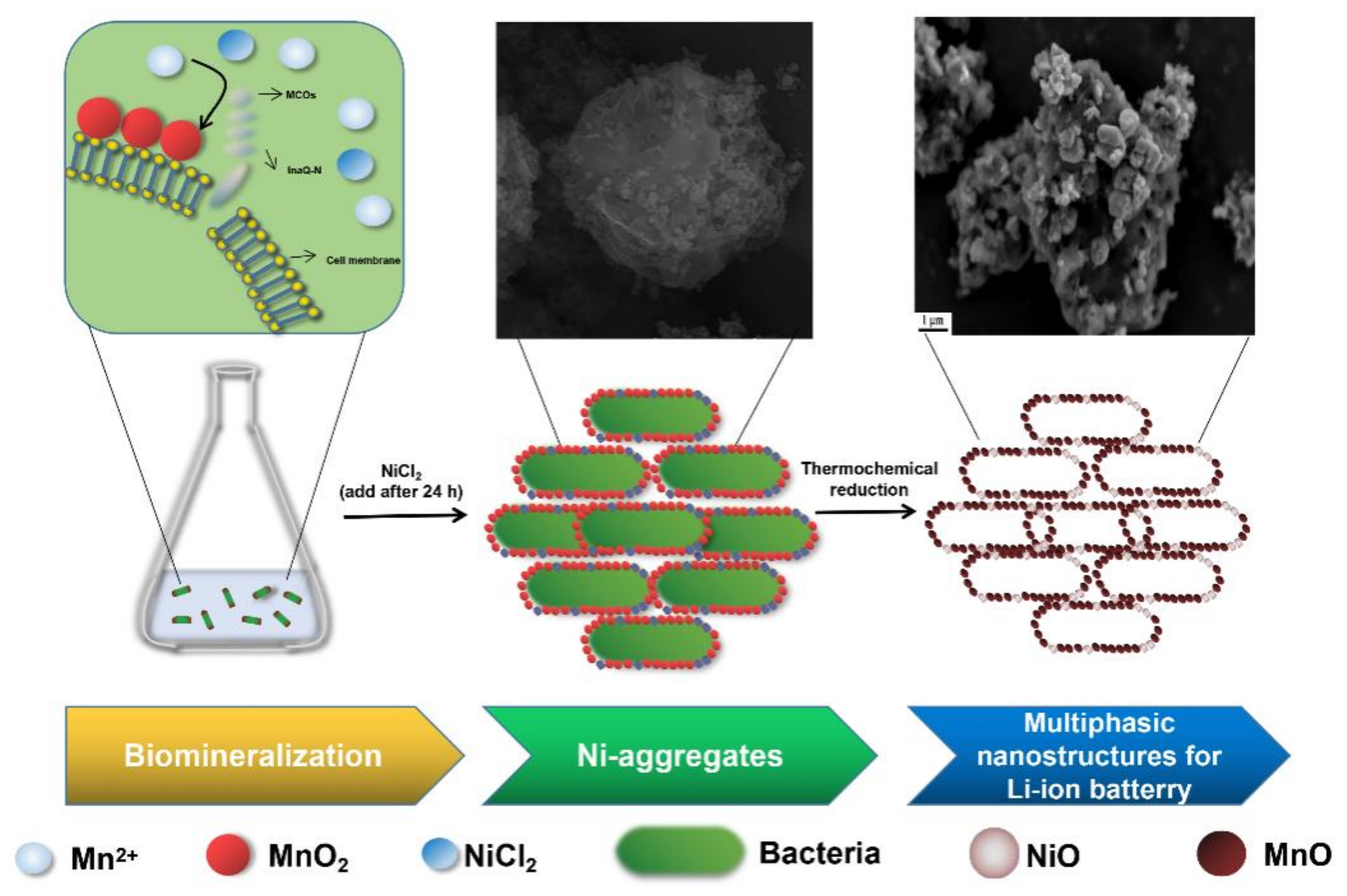 Nanomaterials 11 00361 sch001 Nanomaterials 11 00361 sch001