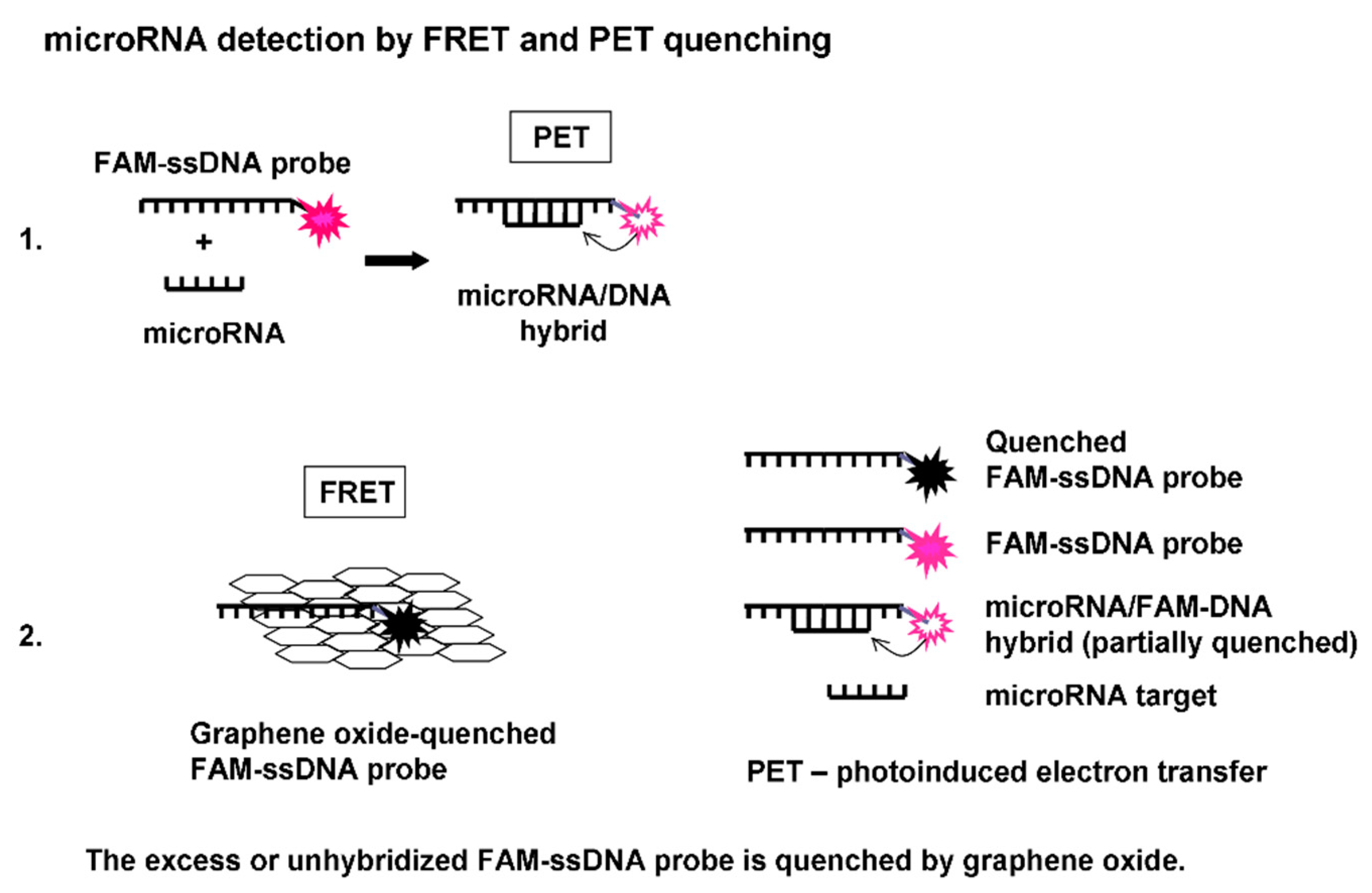 Nanomaterials 11 00368 g001 Nanomaterials 11 00368 g001