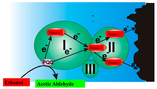 Nanomaterials 11 00371 g009 550