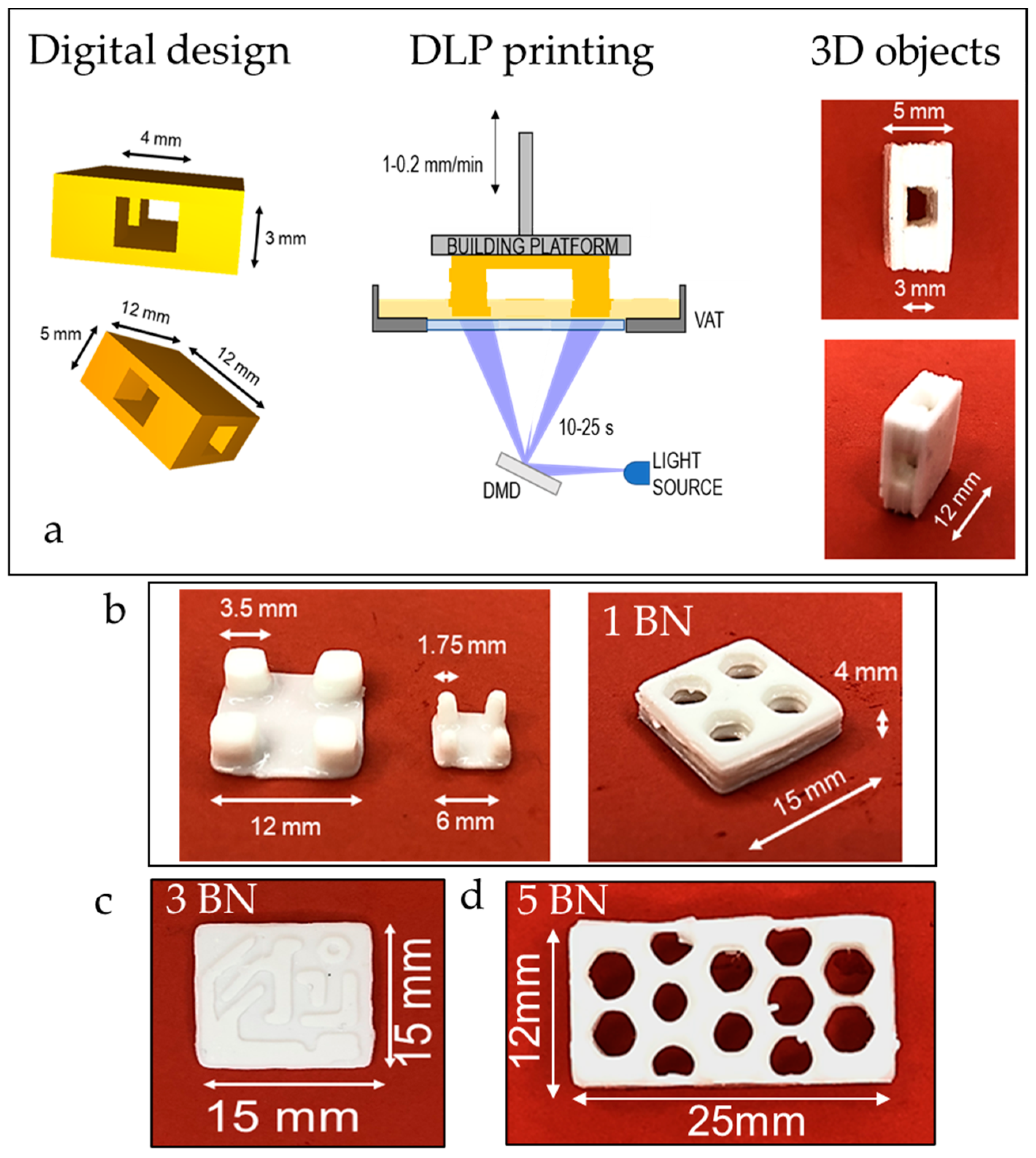 Nanomaterials 11 00373 g005