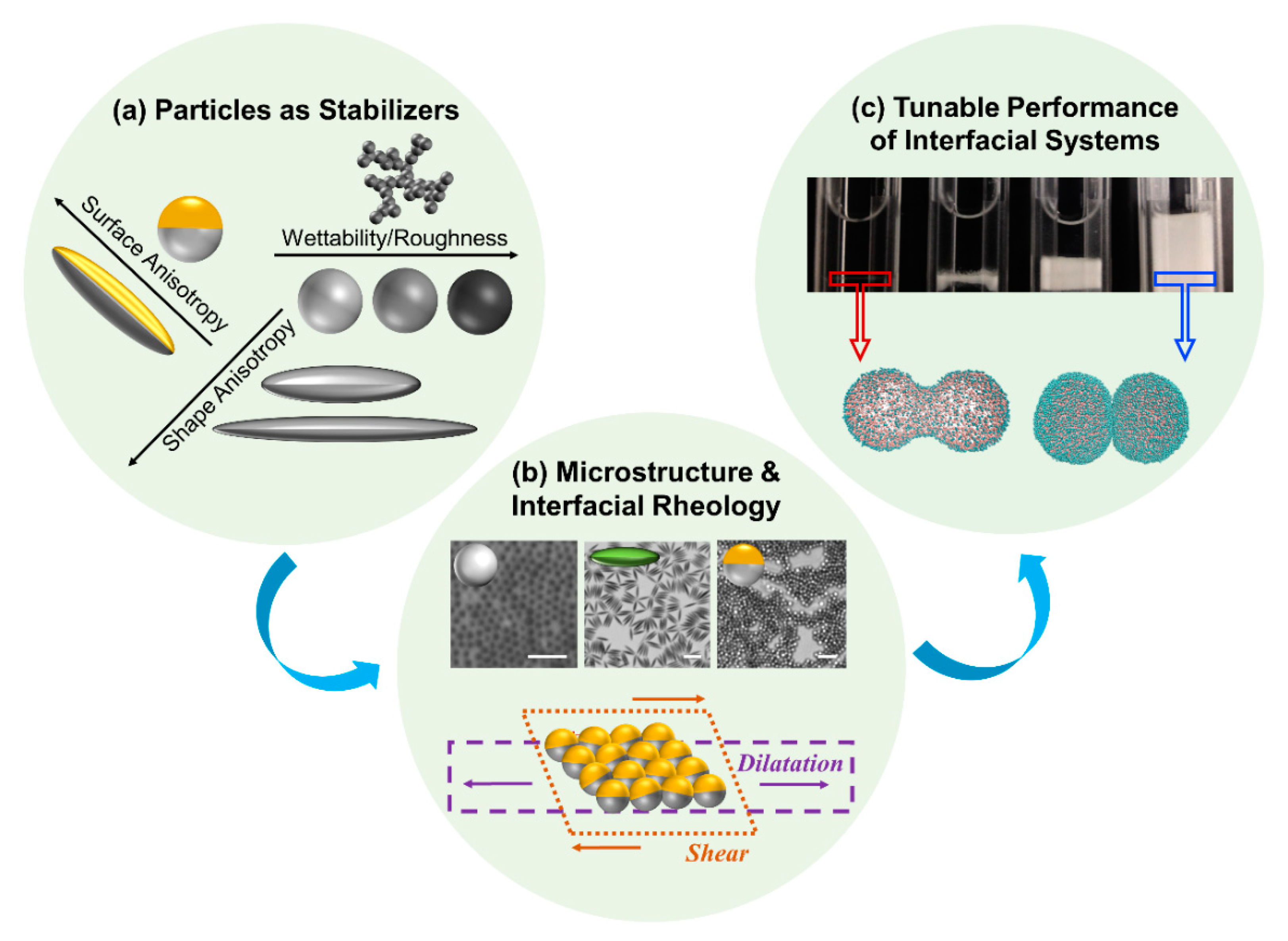Nanomaterials 11 00374 g001