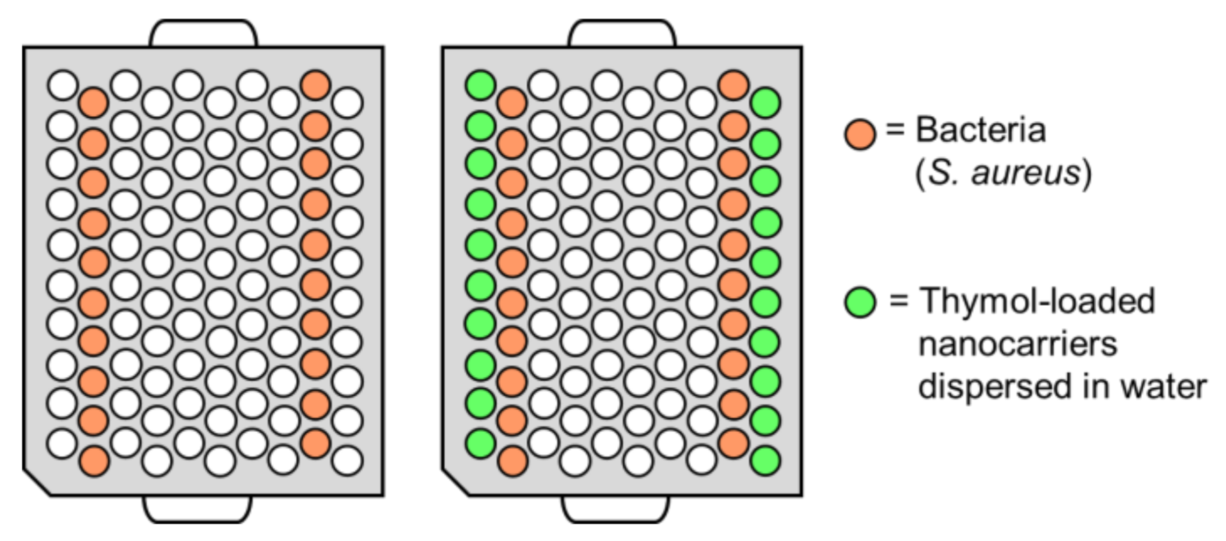 Nanomaterials 11 00379 g001 Nanomaterials 11 00379 g001