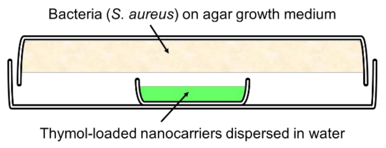 Nanomaterials 11 00379 g002 Nanomaterials 11 00379 g002