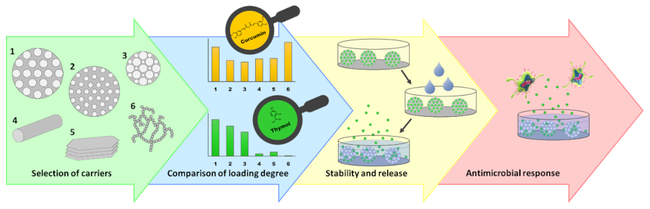 Nanomaterials 11 00379 g003 Nanomaterials 11 00379 g003