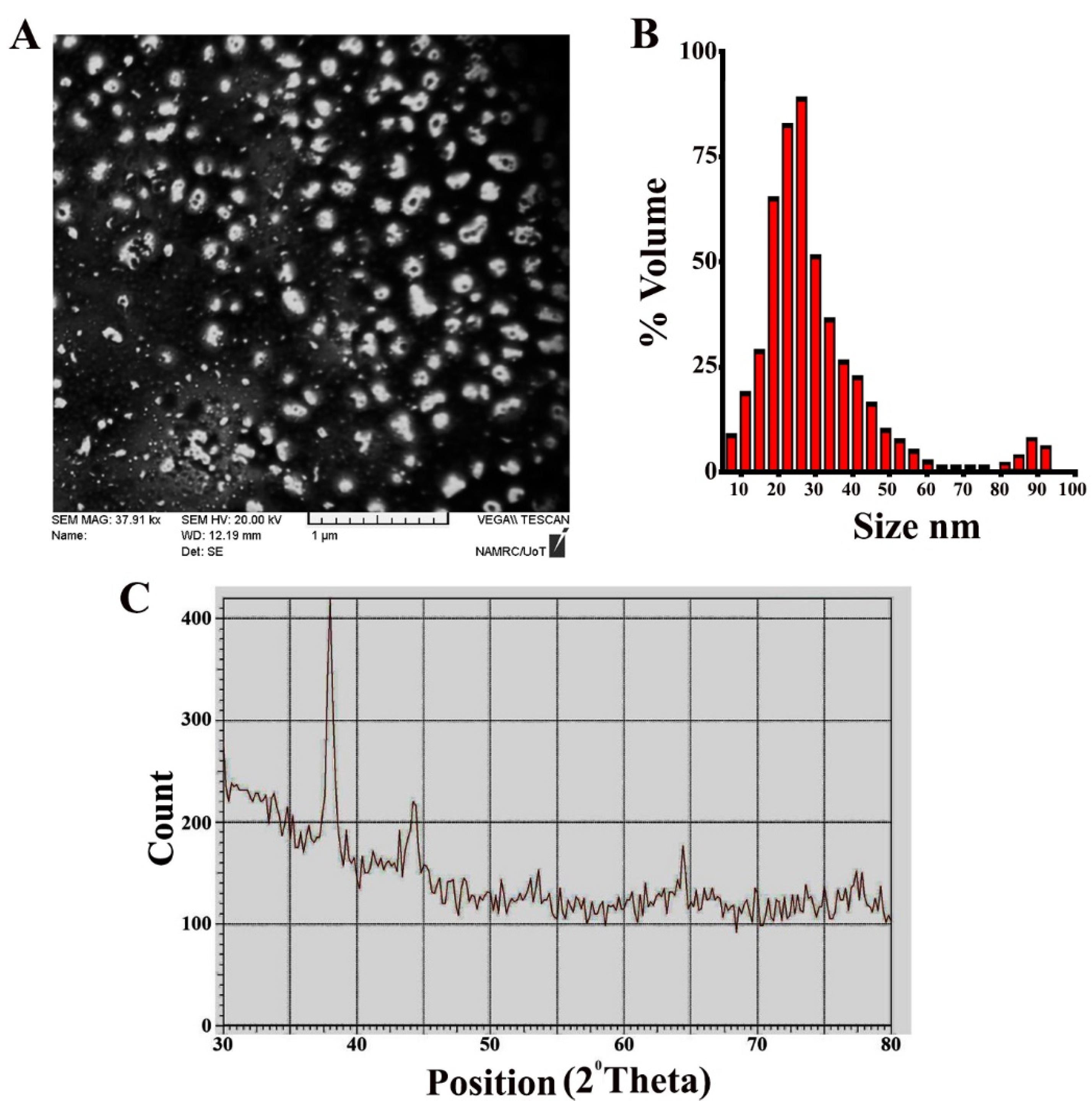 Nanomaterials 11 00384 g002 Nanomaterials 11 00384 g002