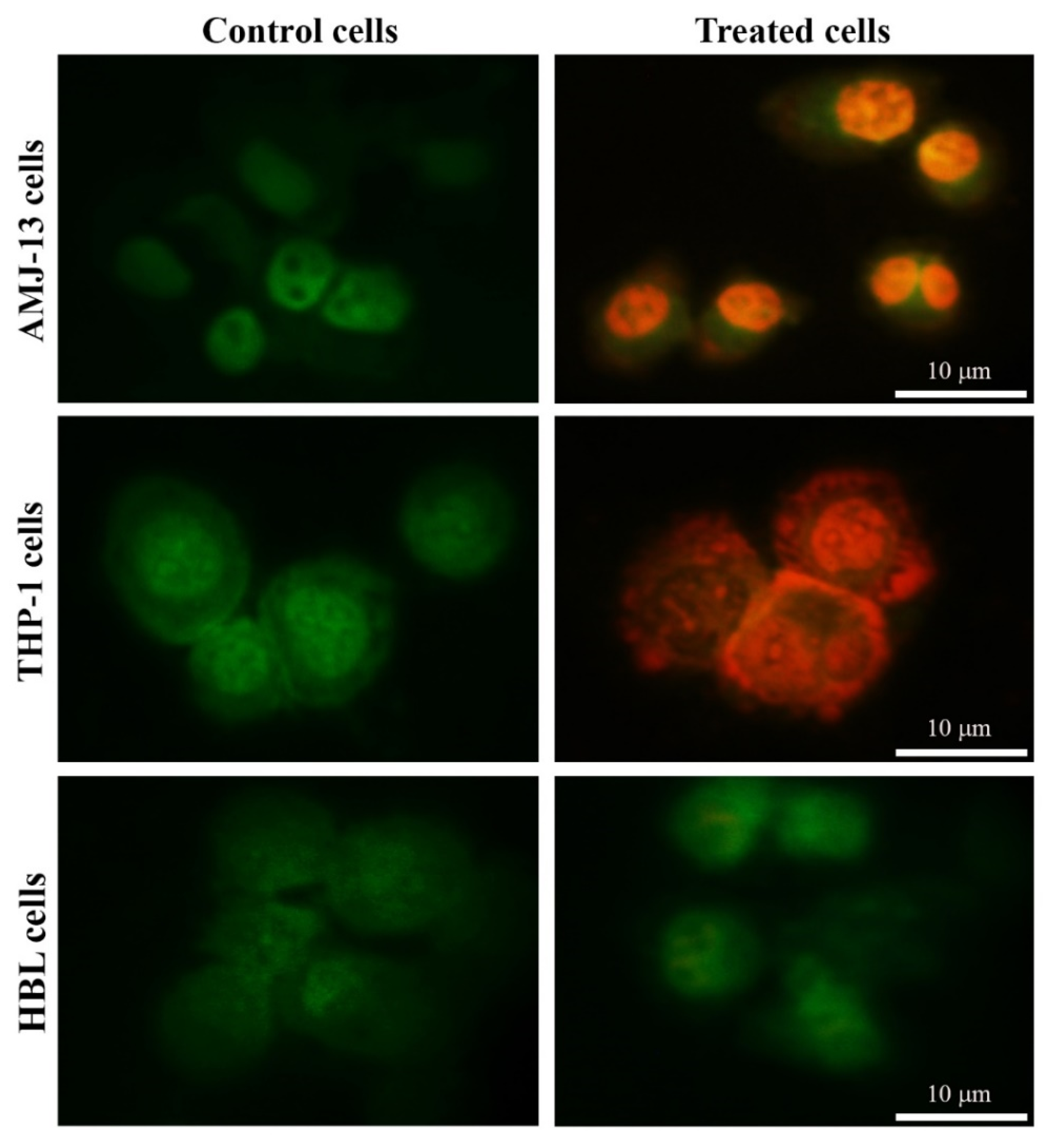 Nanomaterials 11 00384 g004 Nanomaterials 11 00384 g004