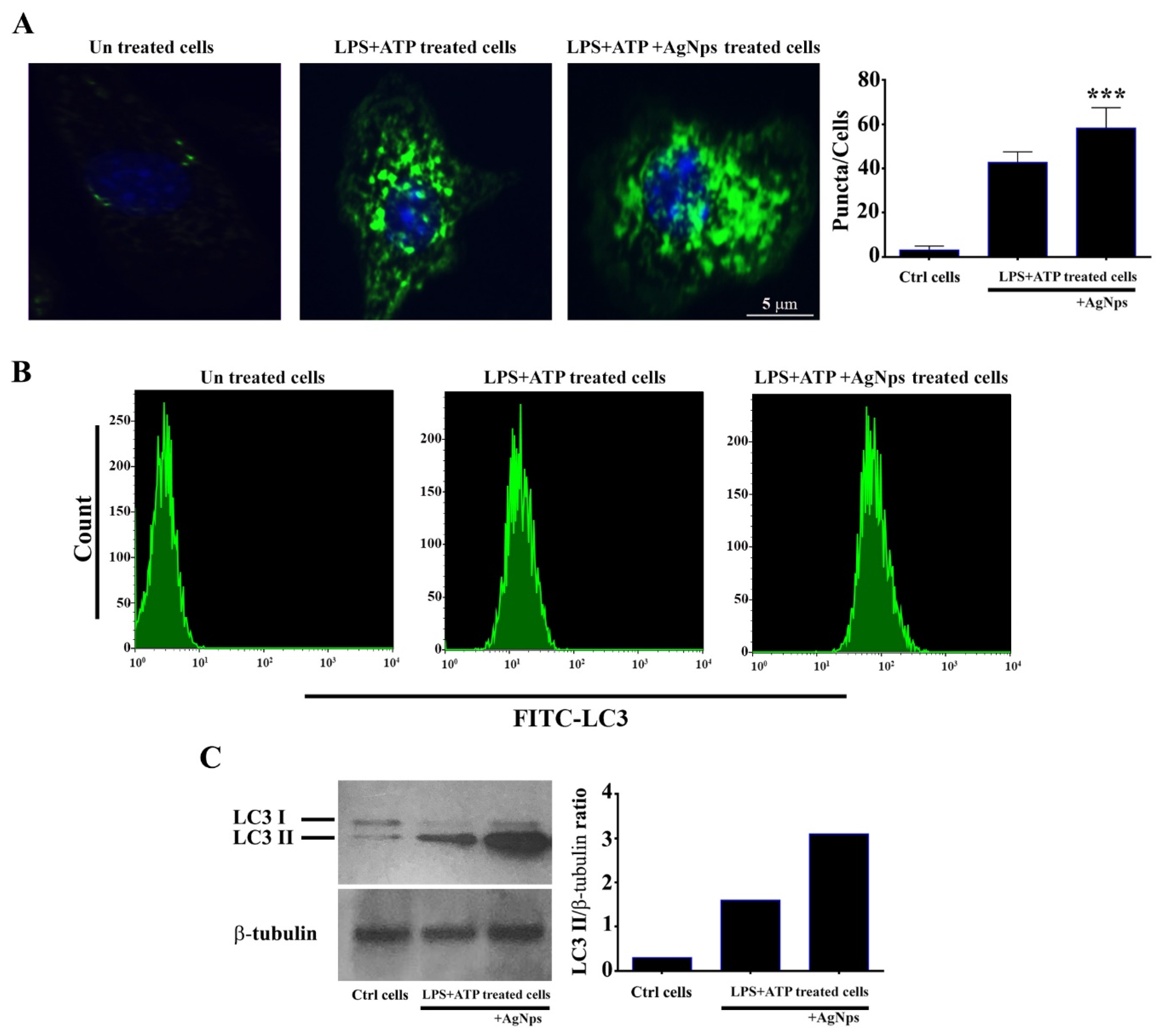 Nanomaterials 11 00384 g008 Nanomaterials 11 00384 g008