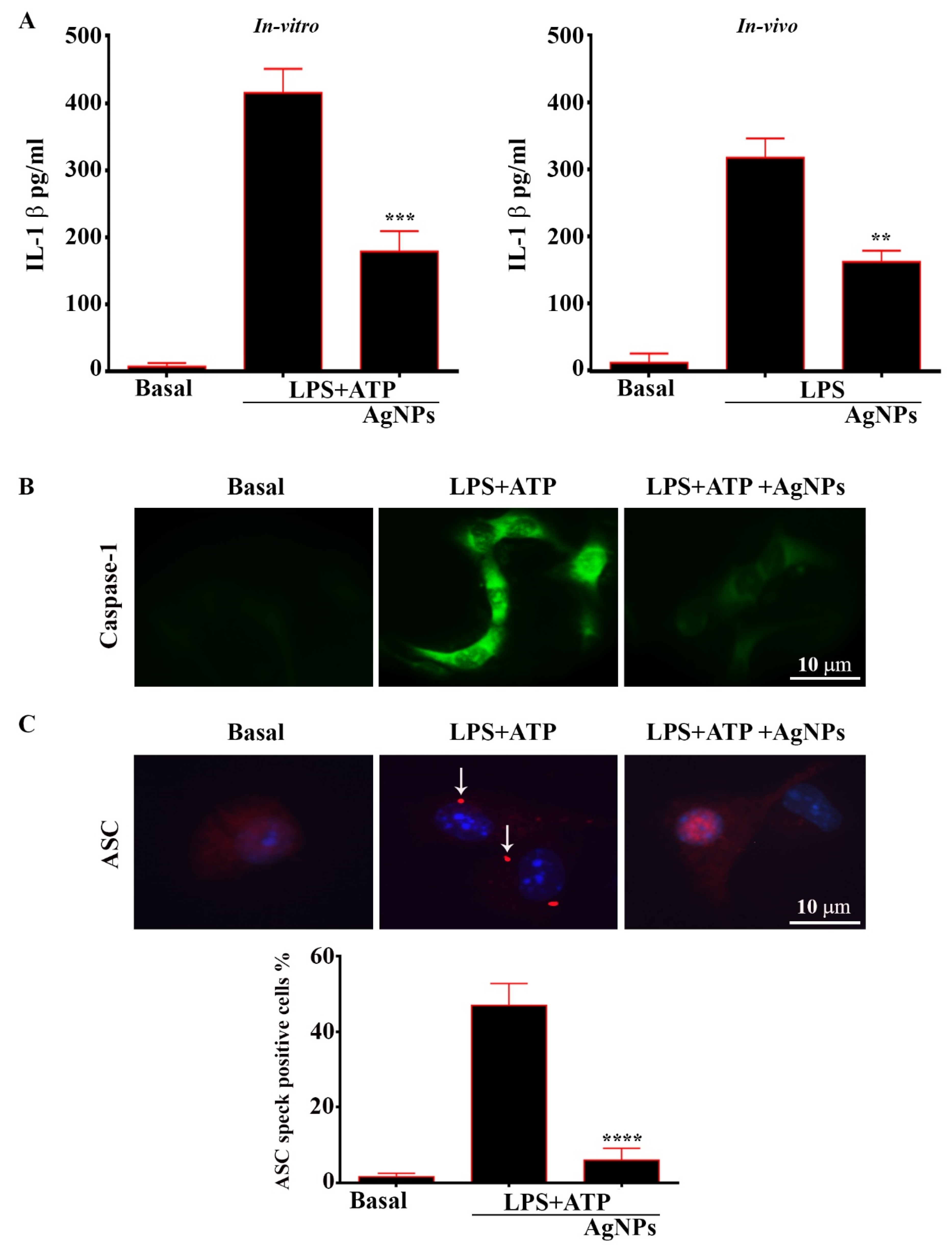 Nanomaterials 11 00384 g010 Nanomaterials 11 00384 g010