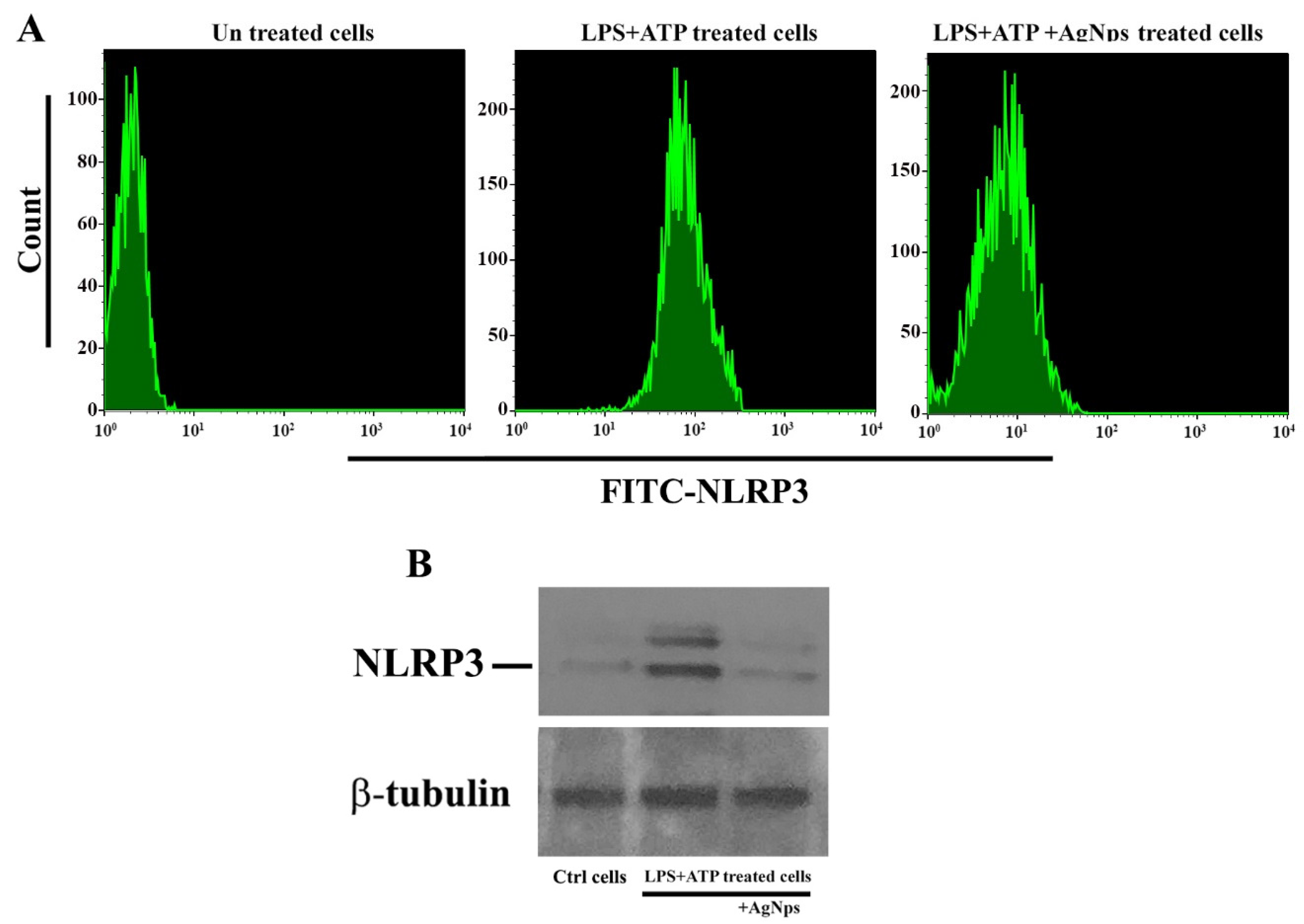 Nanomaterials 11 00384 g011 Nanomaterials 11 00384 g011