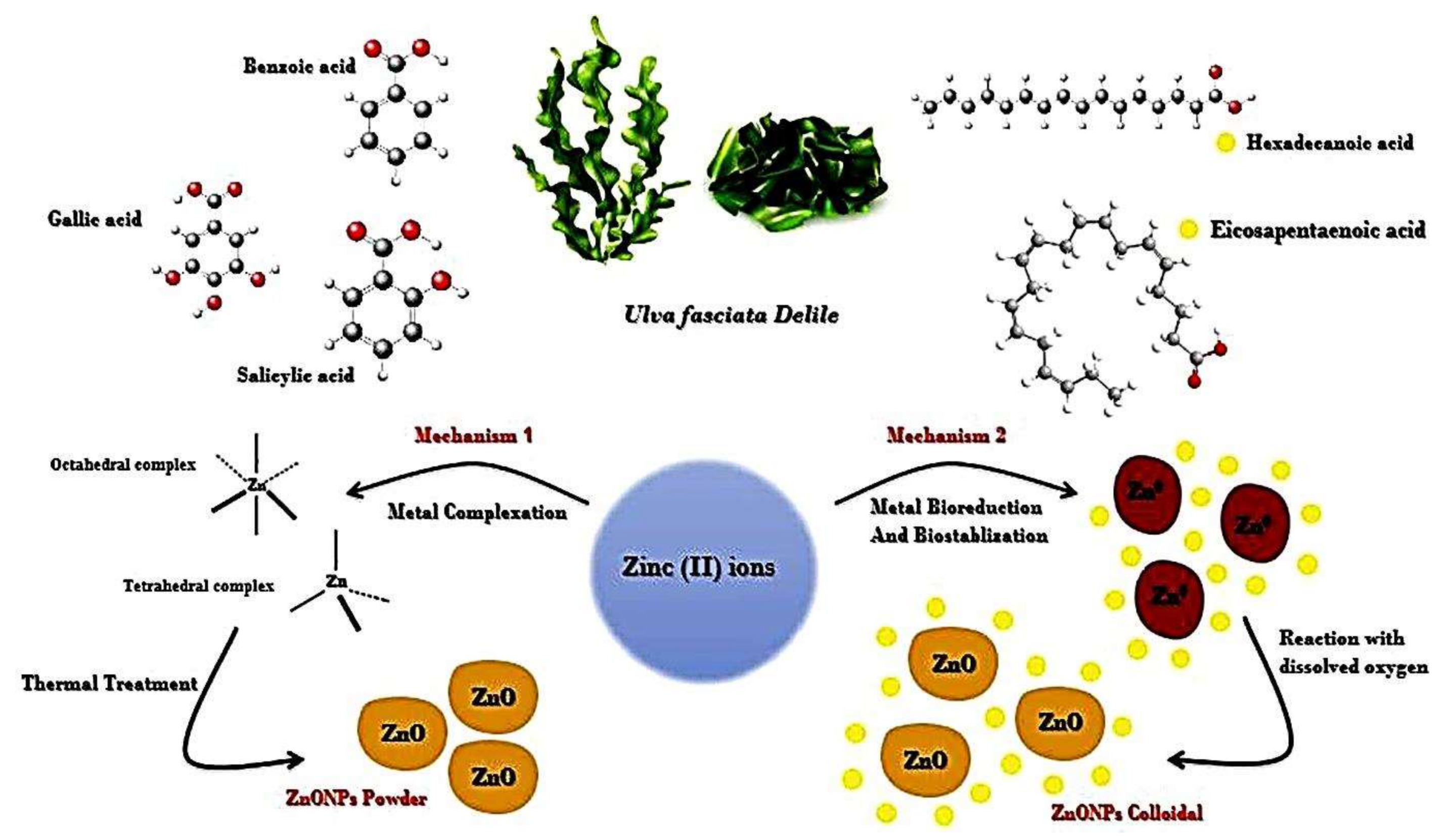 Nanomaterials 11 00385 g001 Nanomaterials 11 00385 g001