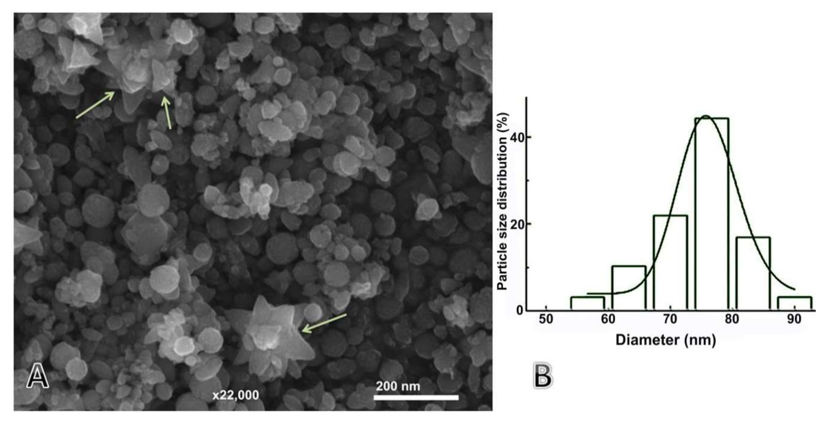 Nanomaterials 11 00385 g005 Nanomaterials 11 00385 g005
