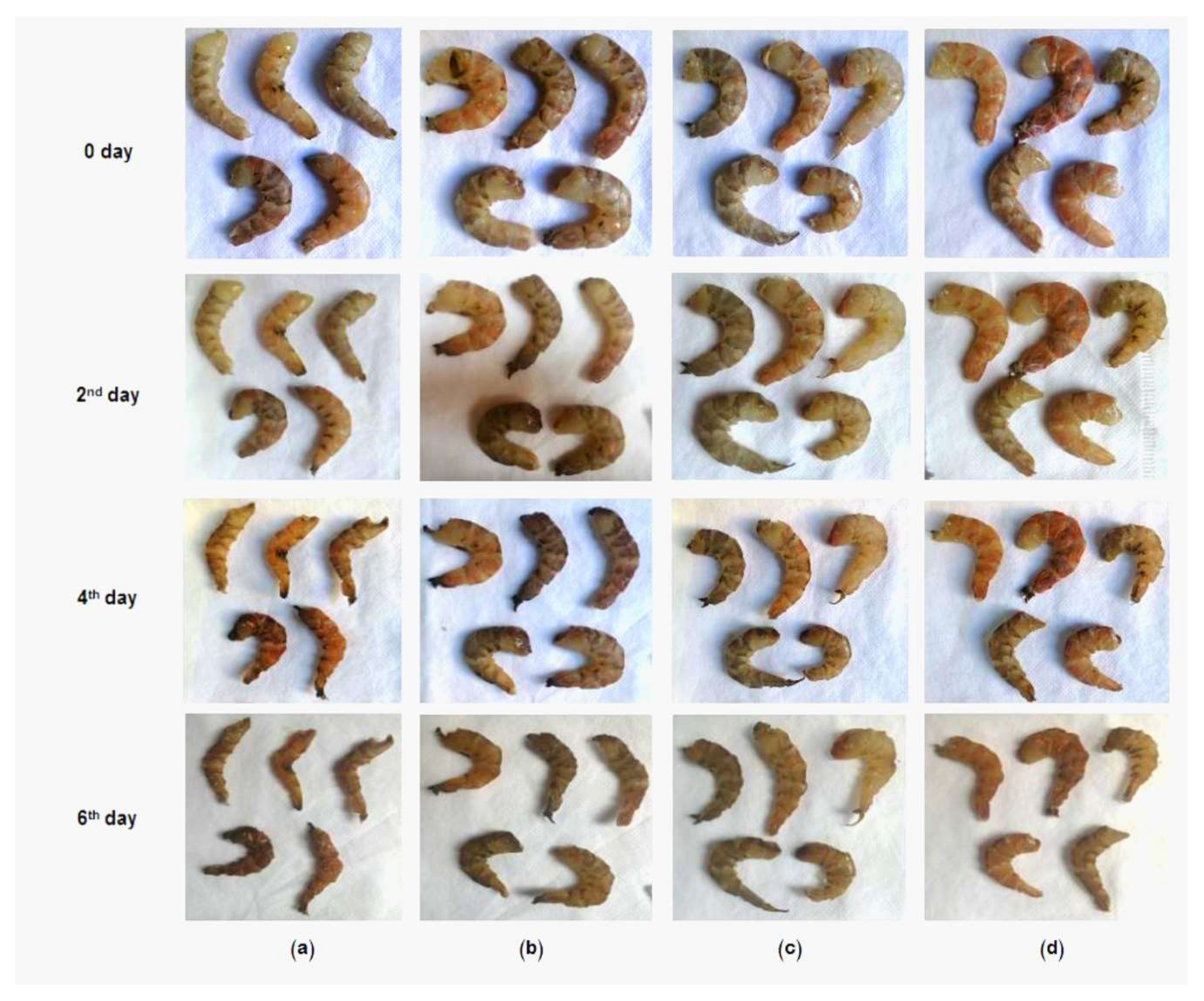 Nanomaterials 11 00385 g010 Nanomaterials 11 00385 g010