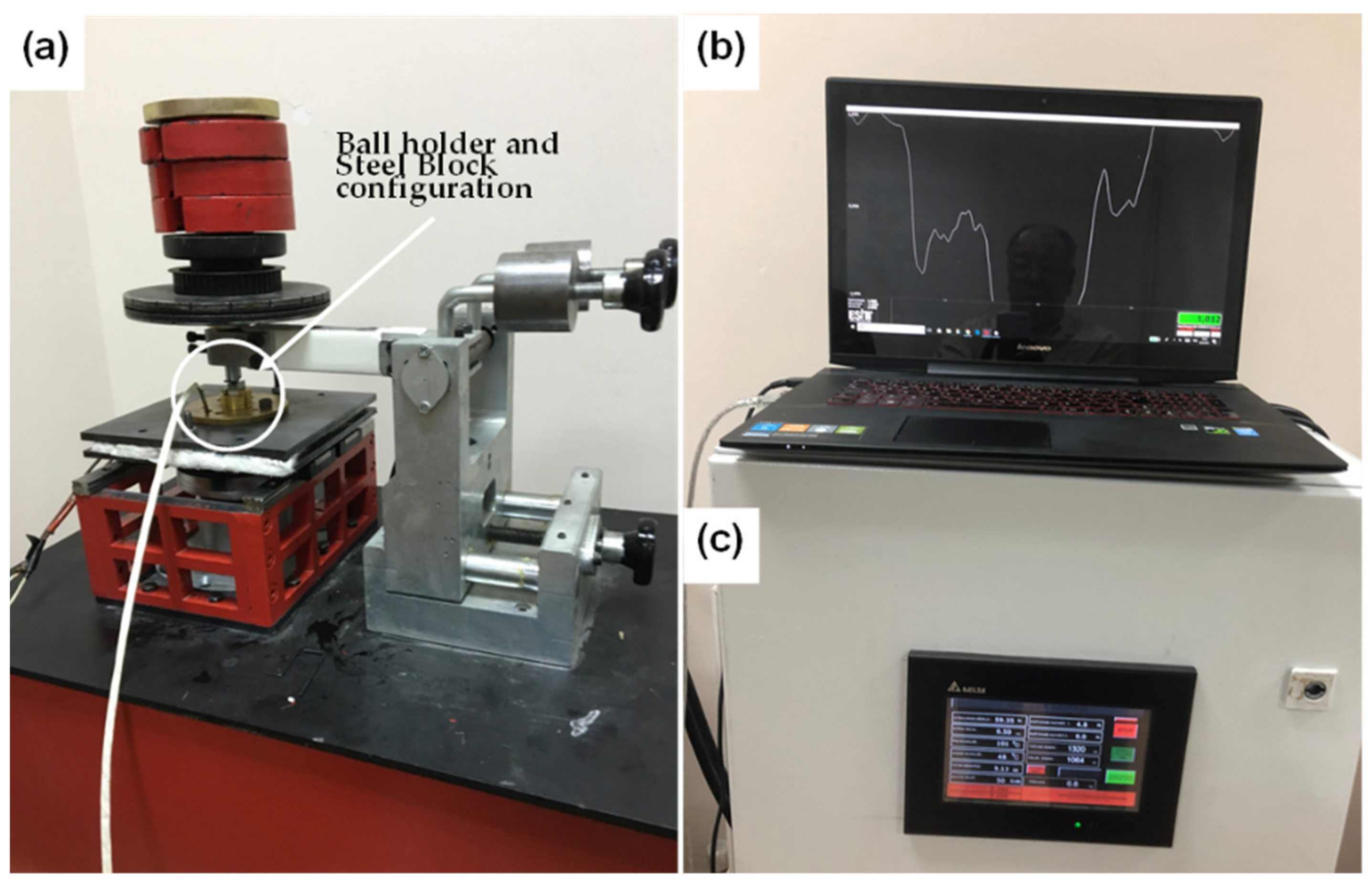 Nanomaterials 11 00386 g002