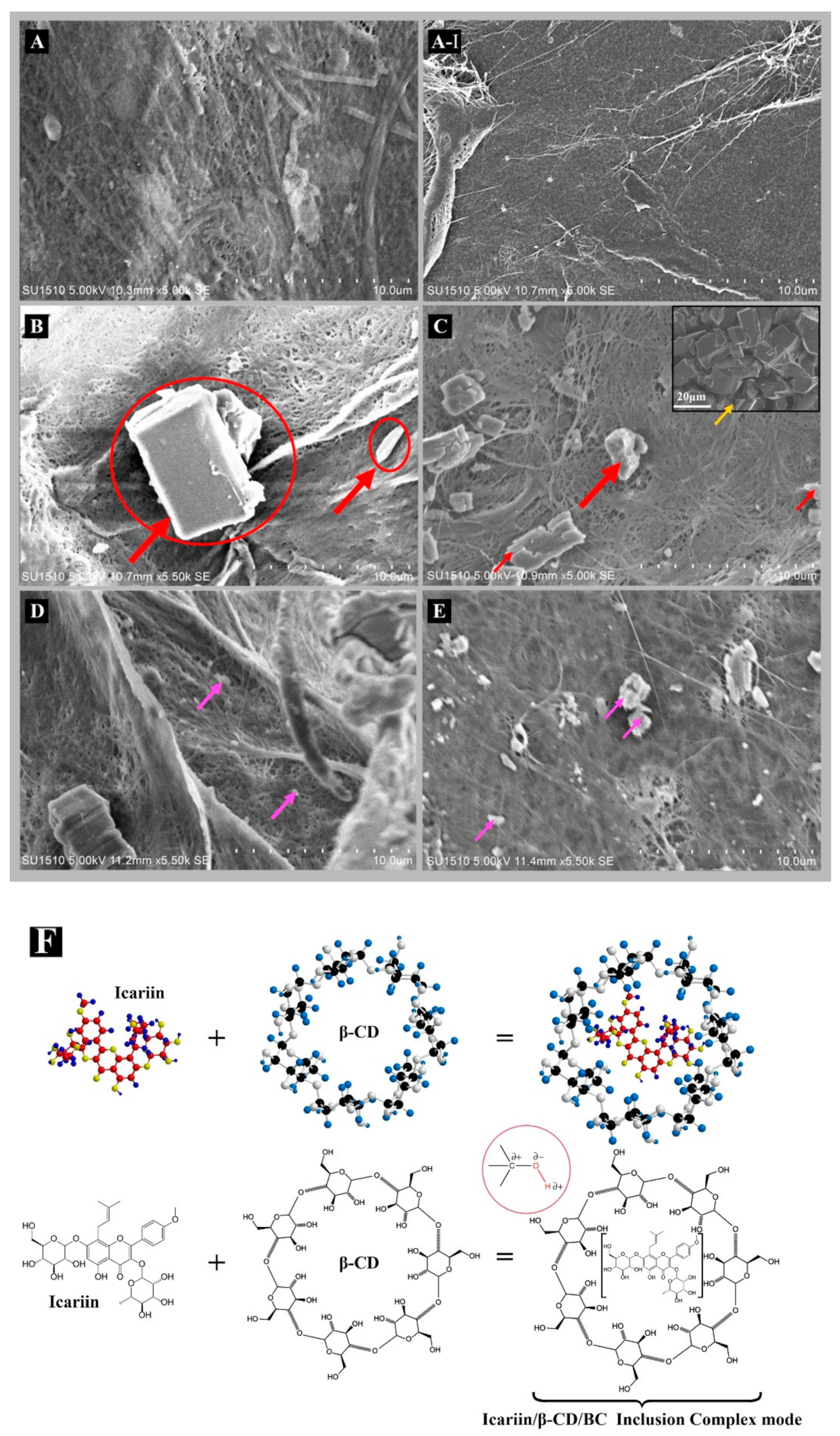 Nanomaterials 11 00387 g002 Nanomaterials 11 00387 g002