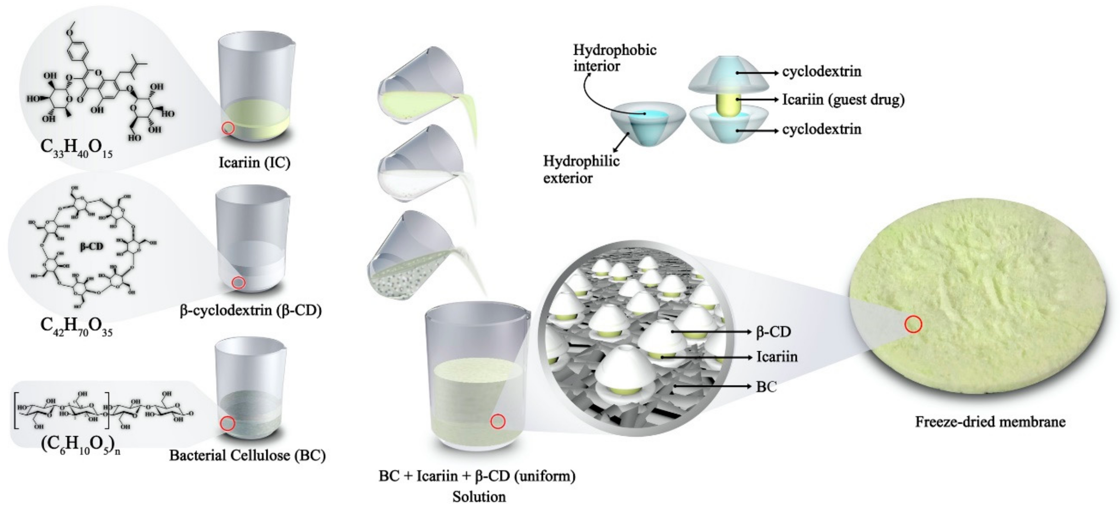 Nanomaterials 11 00387 sch001 Nanomaterials 11 00387 sch001